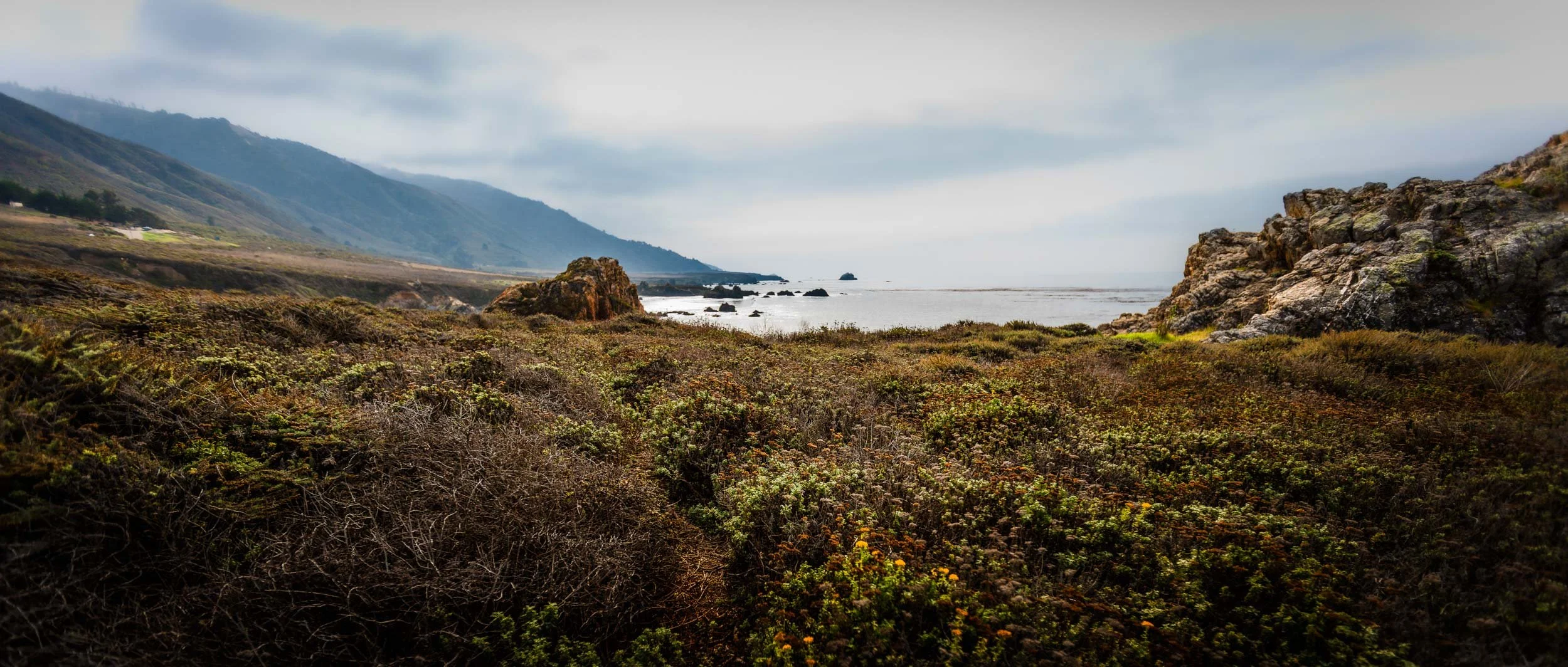 2659-0102-_4DK2476-071109-Doug Coulter-2-2.jpg