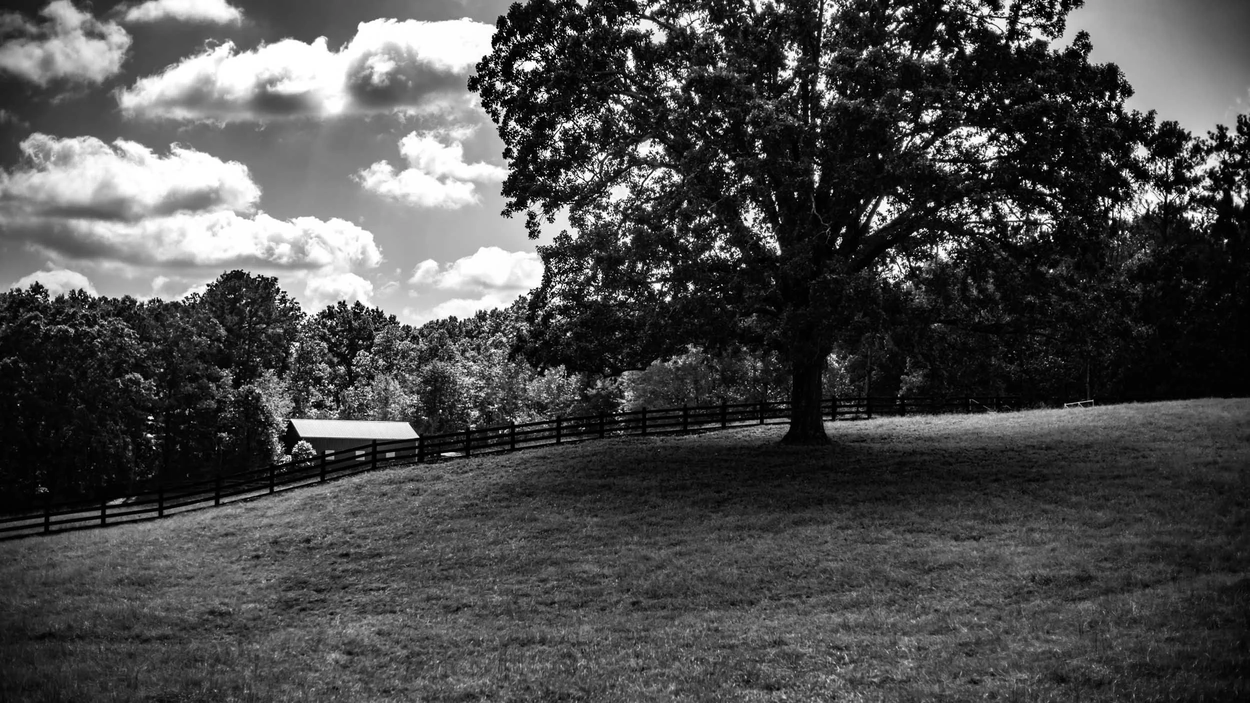 027-342-268-3081-1692-2384-151012-DouglasCoulter-151012-Doug Coulter-2.jpg