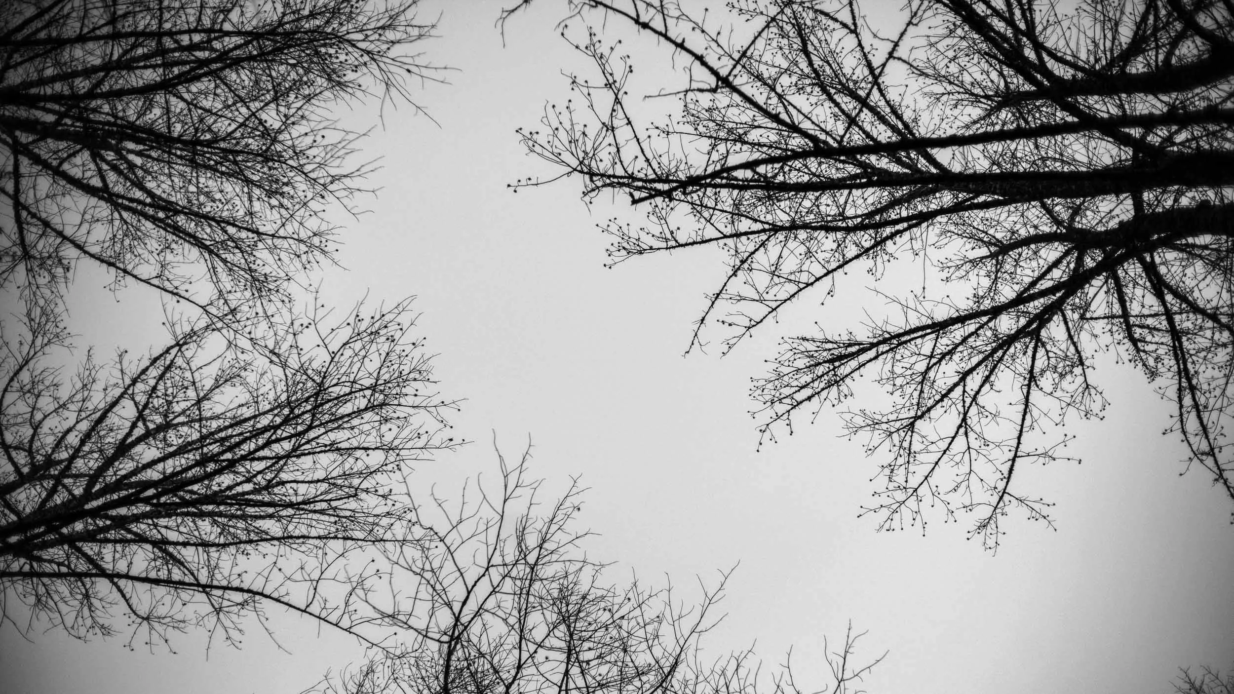 024-095-090-6823-1351-1876-150130-DouglasCoulter-150130-Doug Coulter-2.jpg