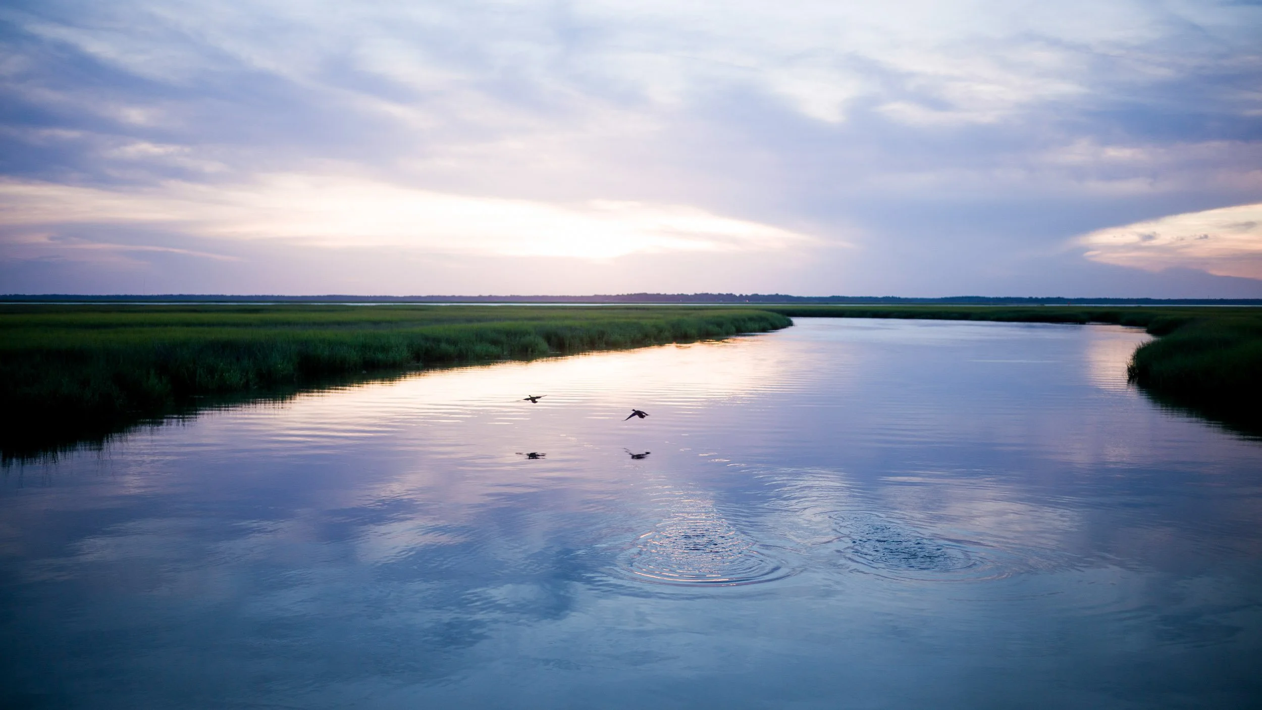 005-410-226-2101-1475-1937-Environments-116-150527-Doug Coulter-2.jpg