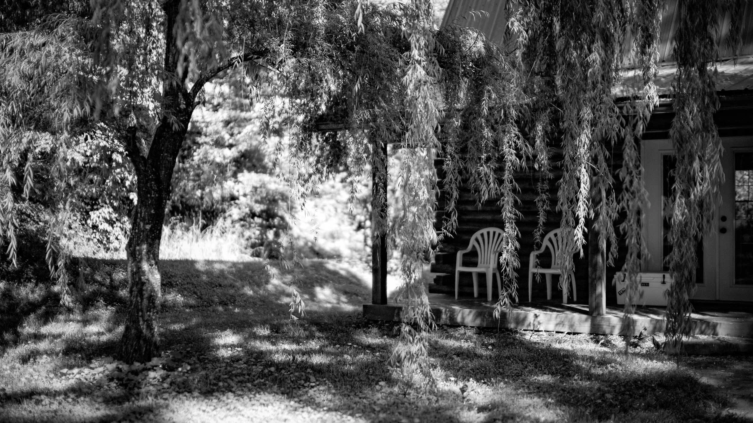 6989-3310-3265-001-1015148-180519-DouglasCoulter-180519-Doug Coulter-2.jpg