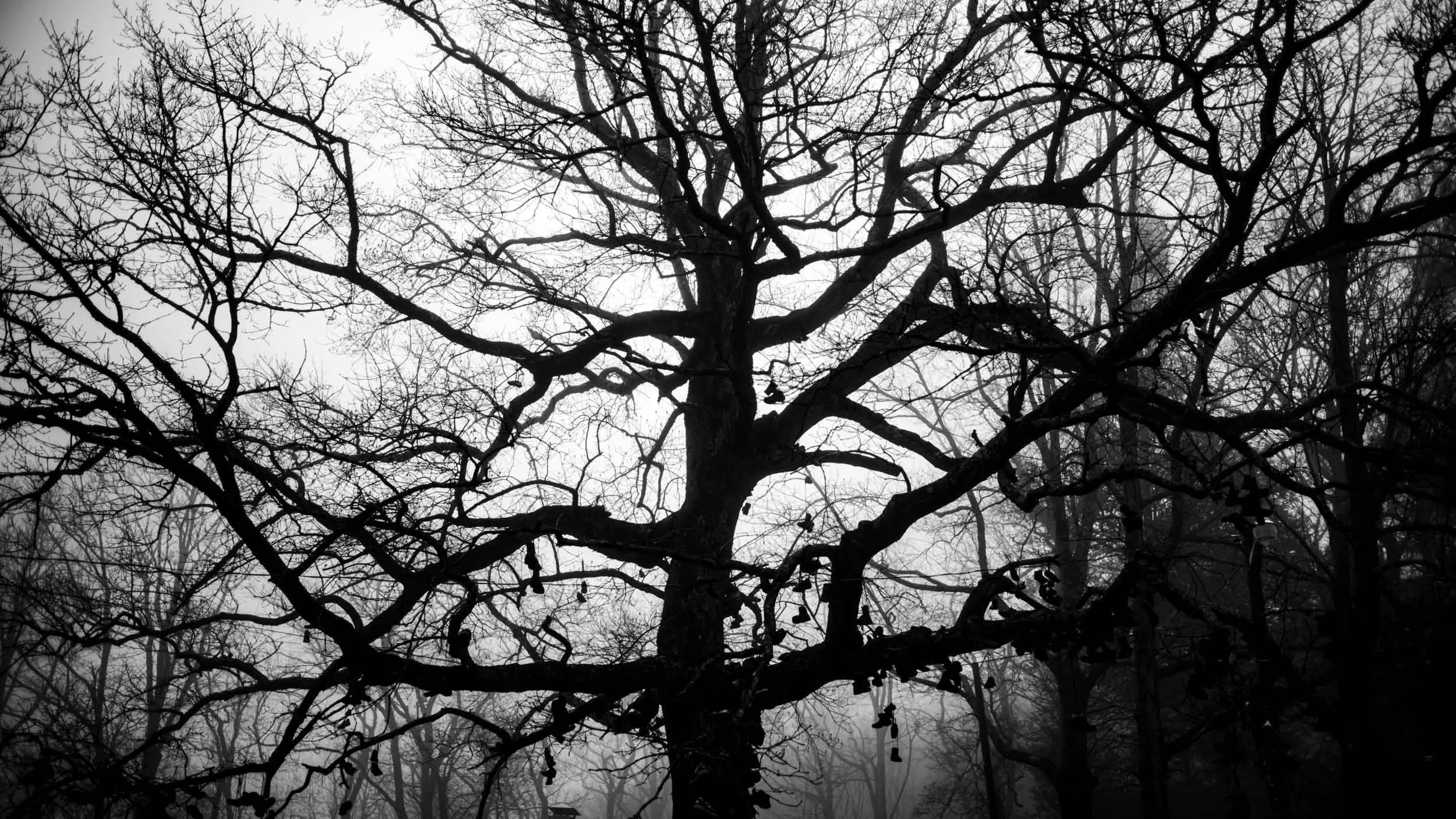 178-018-241-1939-4516-5362-7684 x 4323-210121-Doug Coulter-2-2.jpg