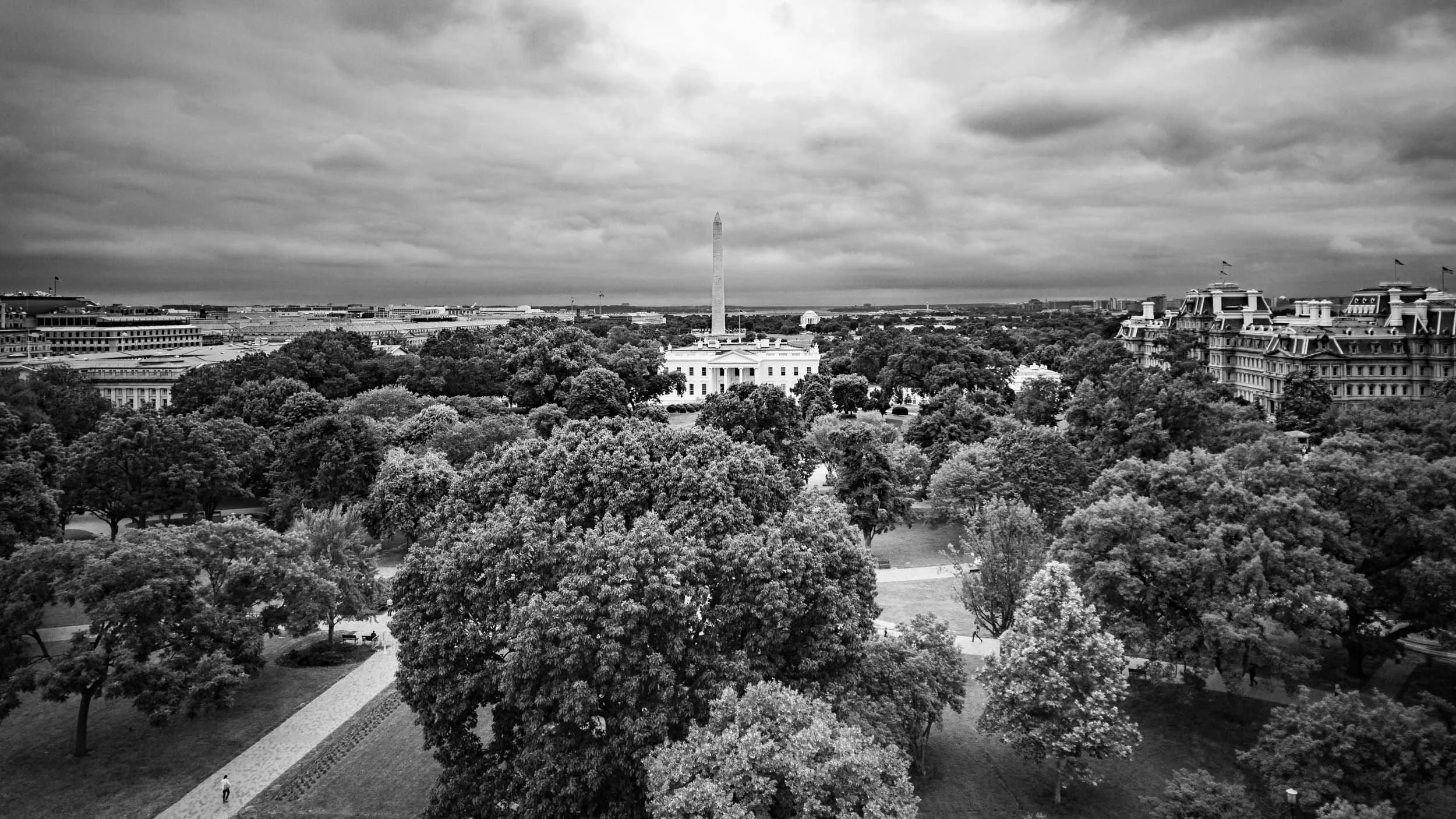 3051-3356-291-1006704-180611-DouglasCoulter-180611-Doug Coulter-2-2.jpg