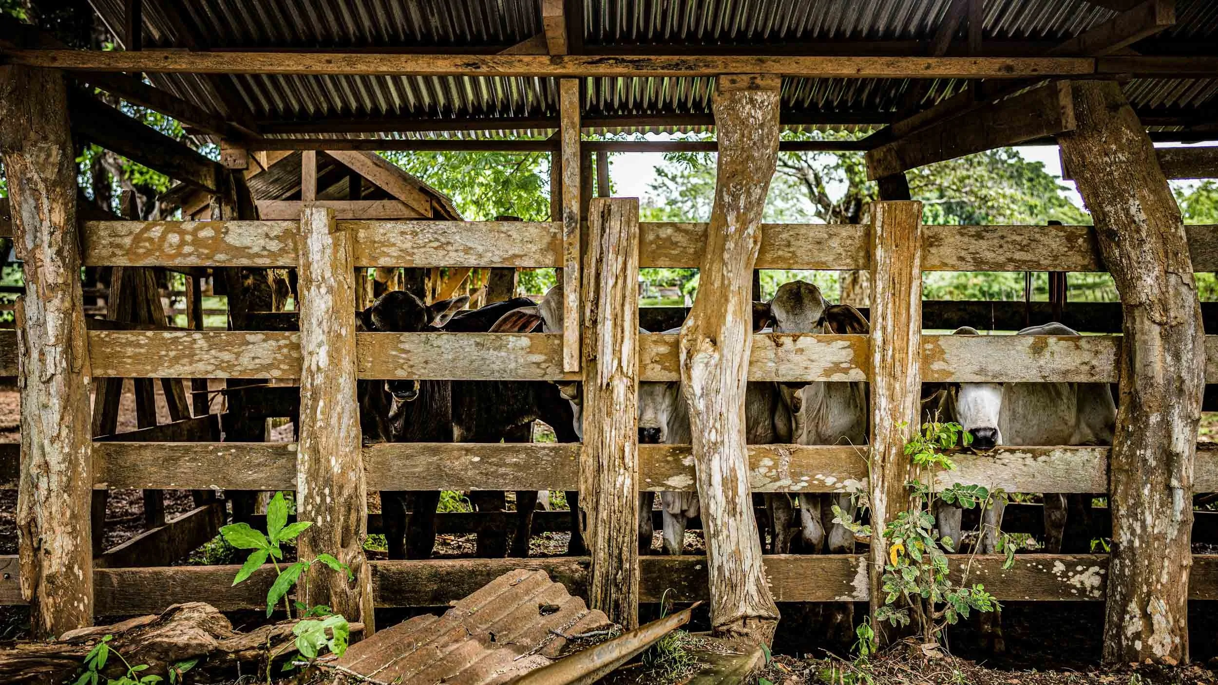 3187-1142-1600-LM245402-140607-Doug Coulter-2-2-2.jpg