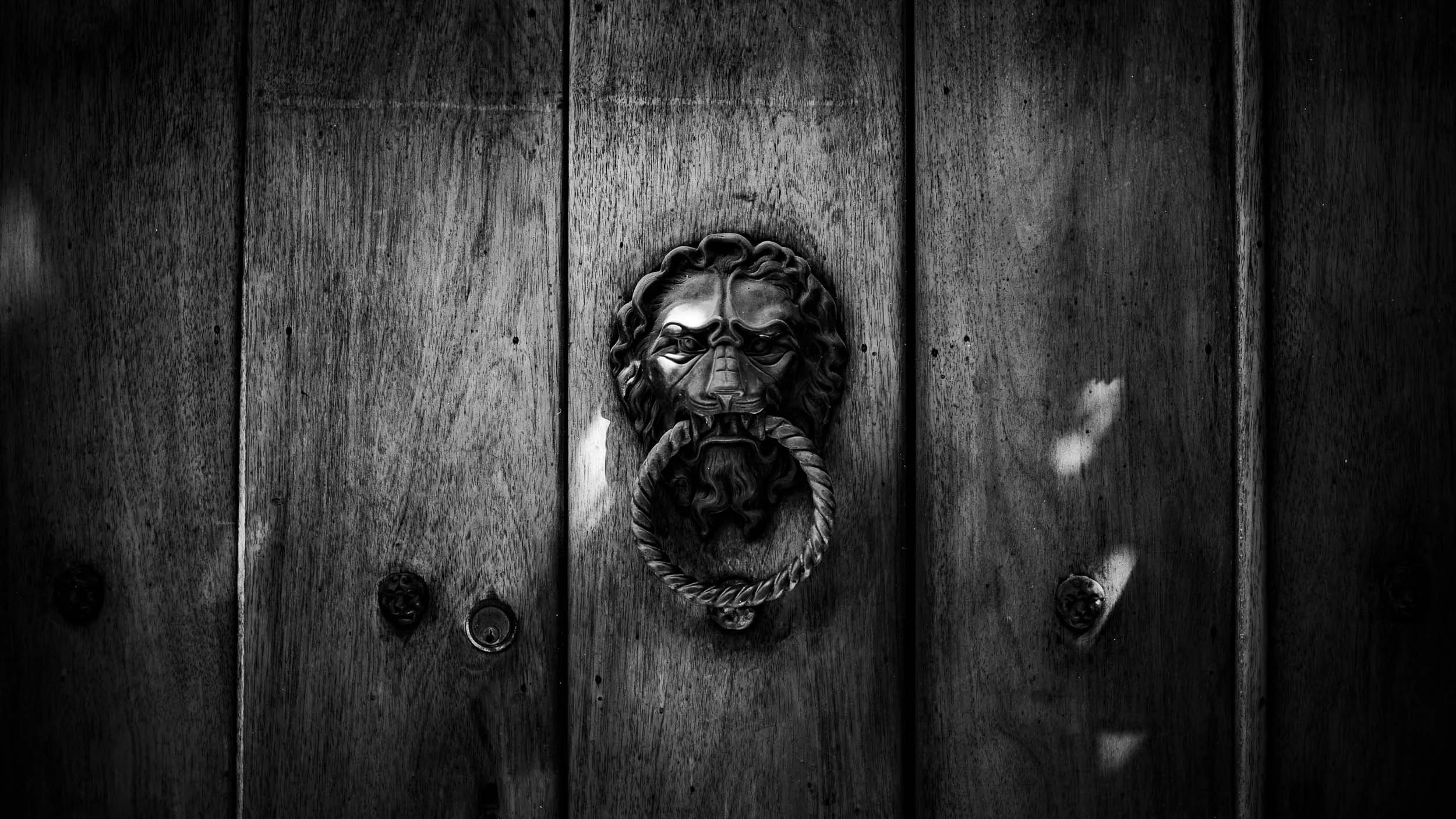 0330-4024-L1021399-191224-Doug Coulter-2-2.jpg