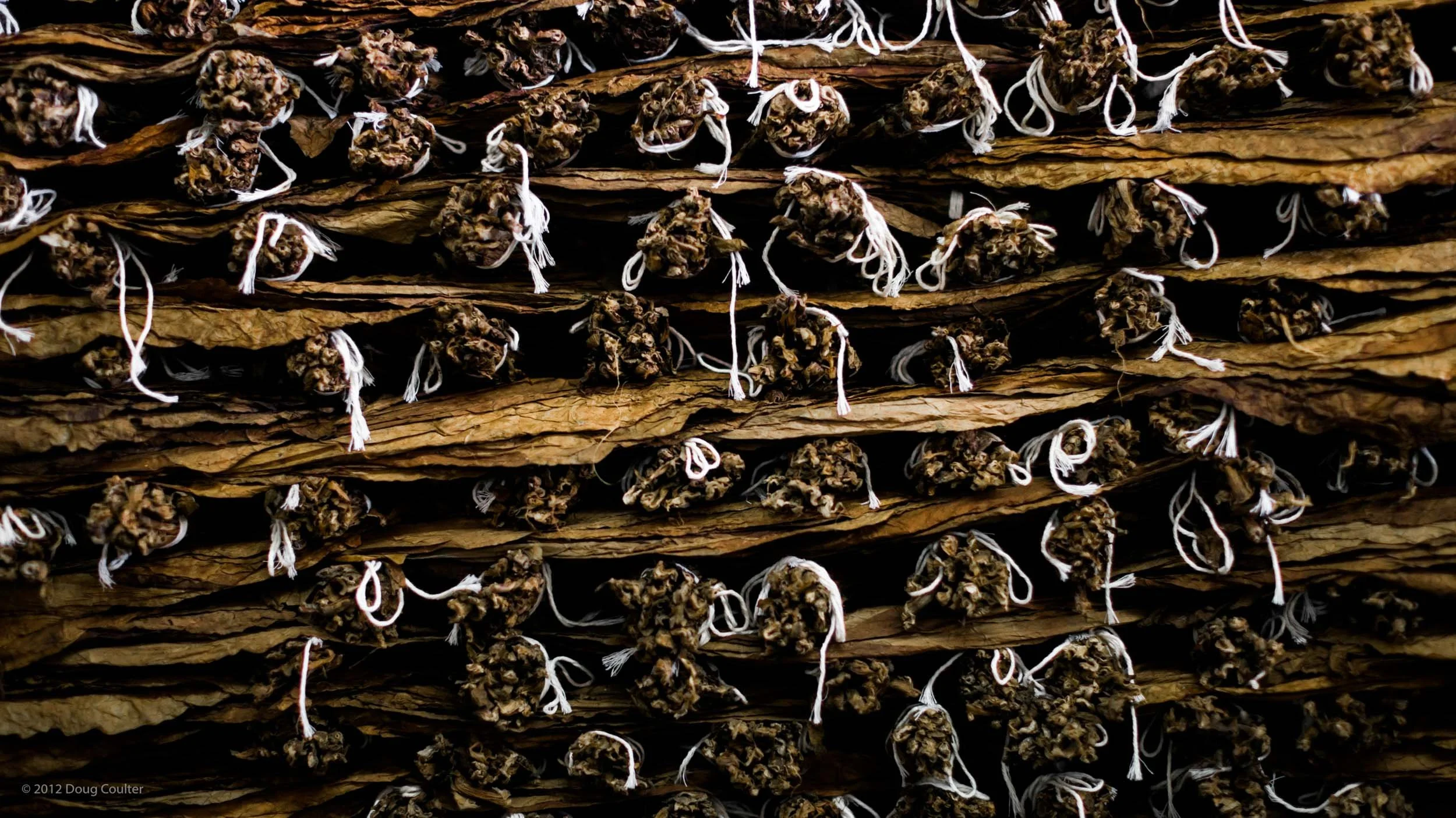 087-3322-0663-940-120220-DouglasCoulter-120220-Doug Coulter.jpg