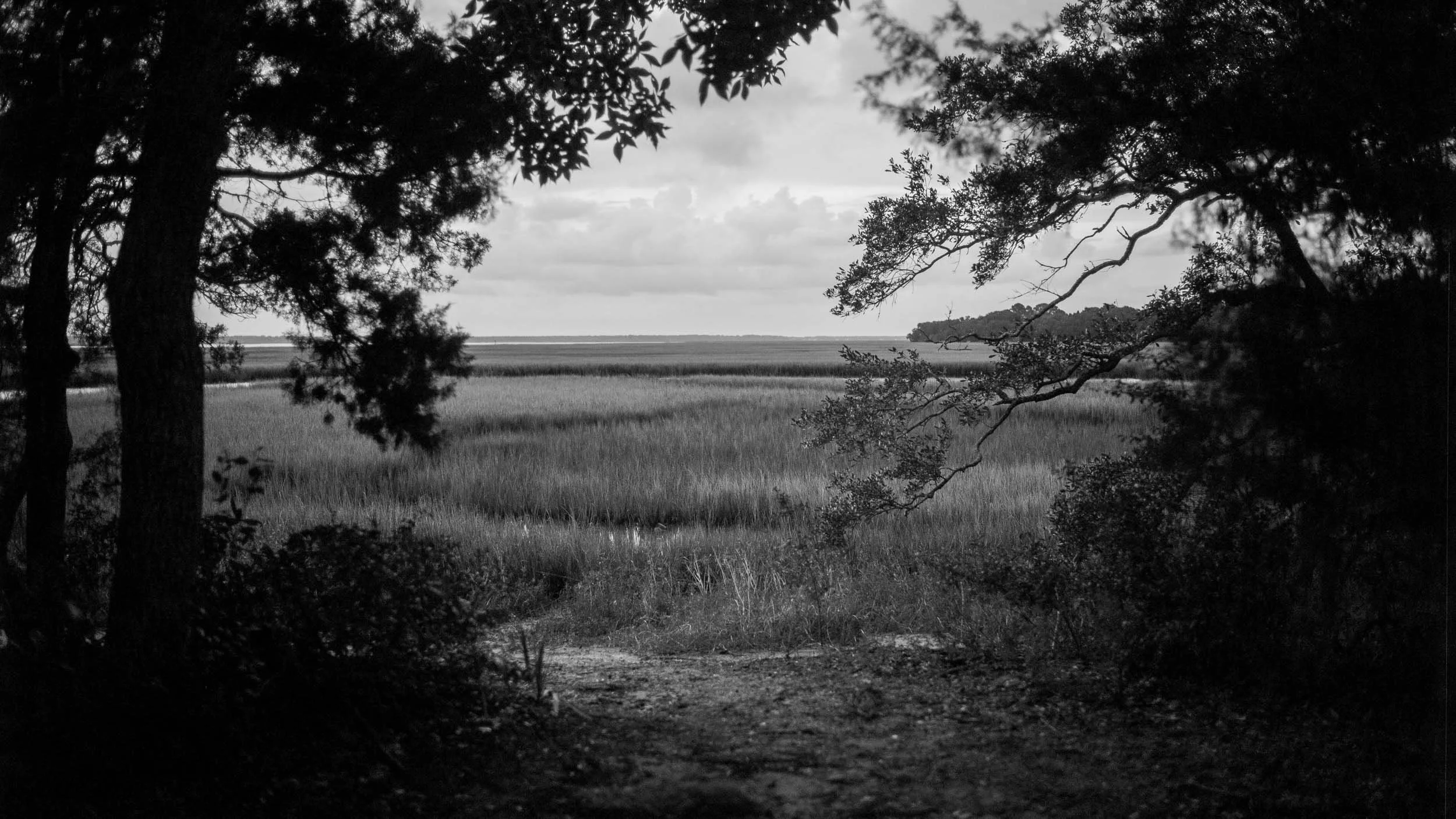 0894-1641-2134-L1030672-150906-Doug Coulter-2.jpg