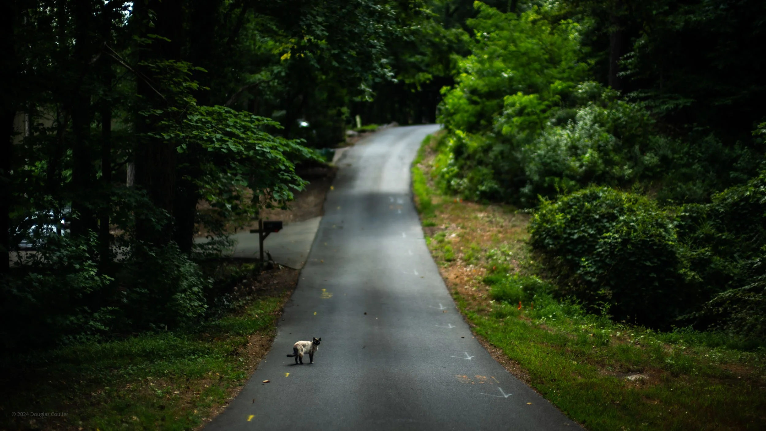 086-5736-6538-S2350780-240704-Doug Coulter.jpg