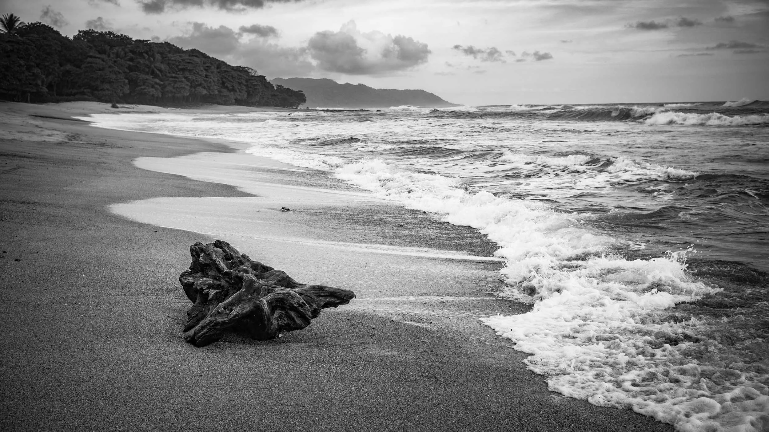 2445-1132-1589-L1012640-140603-Doug Coulter-2.jpg