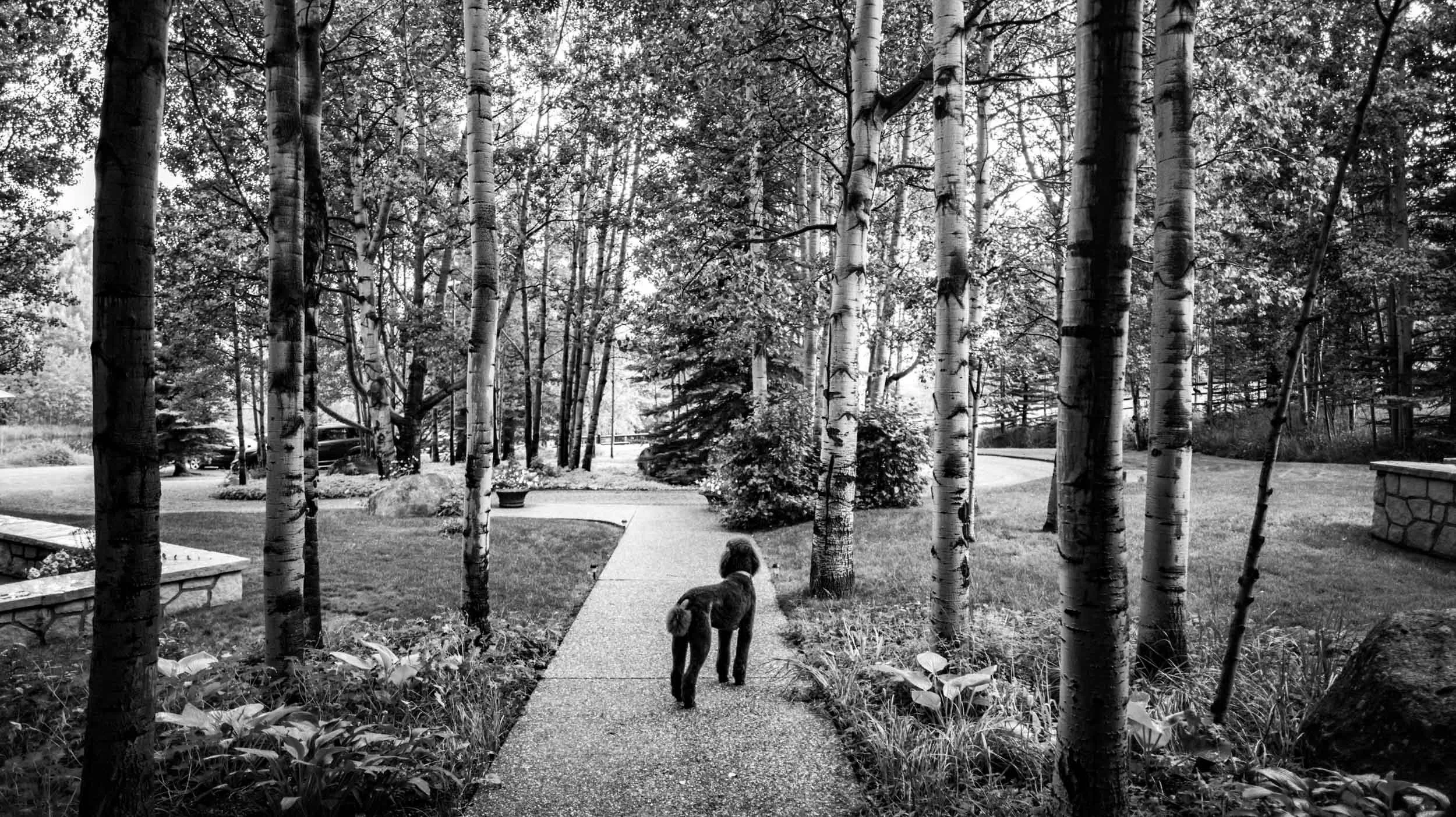 026-117-495-6713-3471-4681-180723-DouglasCoulter-180723-Doug Coulter-2.jpg