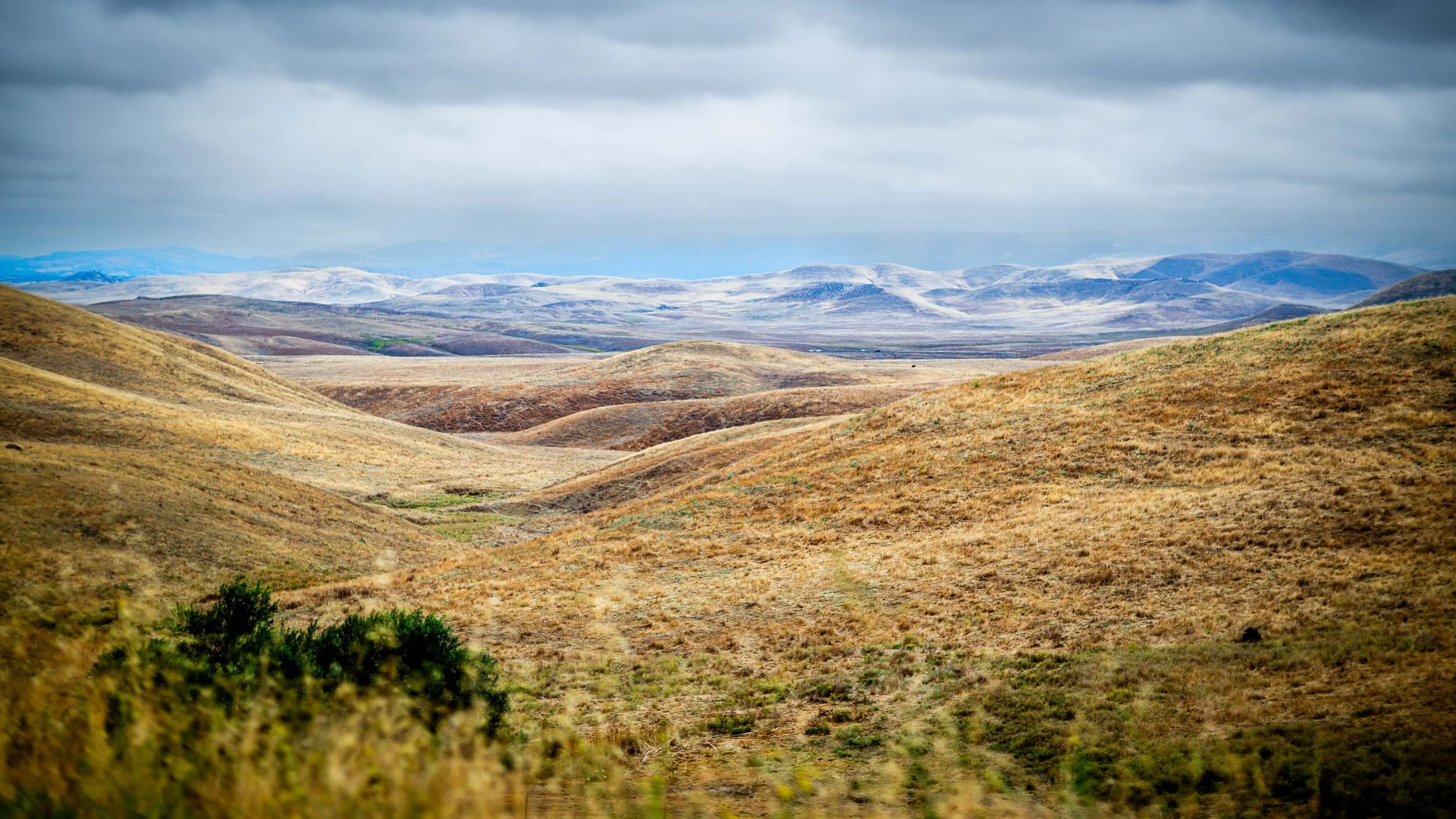 6139-5782-L1008087-230902-Doug Coulter-2-2.jpg