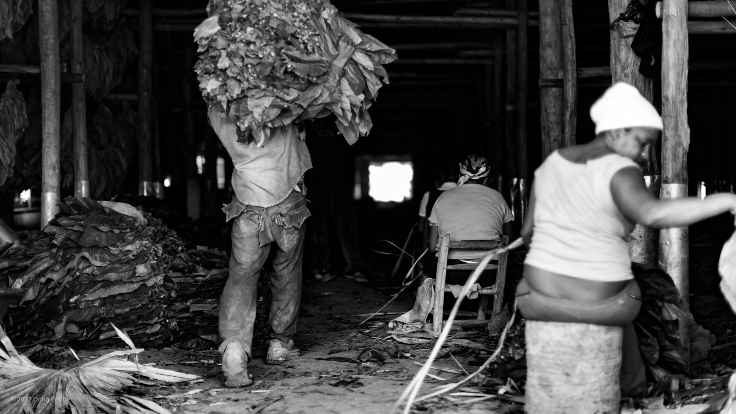 006-0561-0648-925-120220-DouglasCoulter-120220-Doug Coulter.jpg