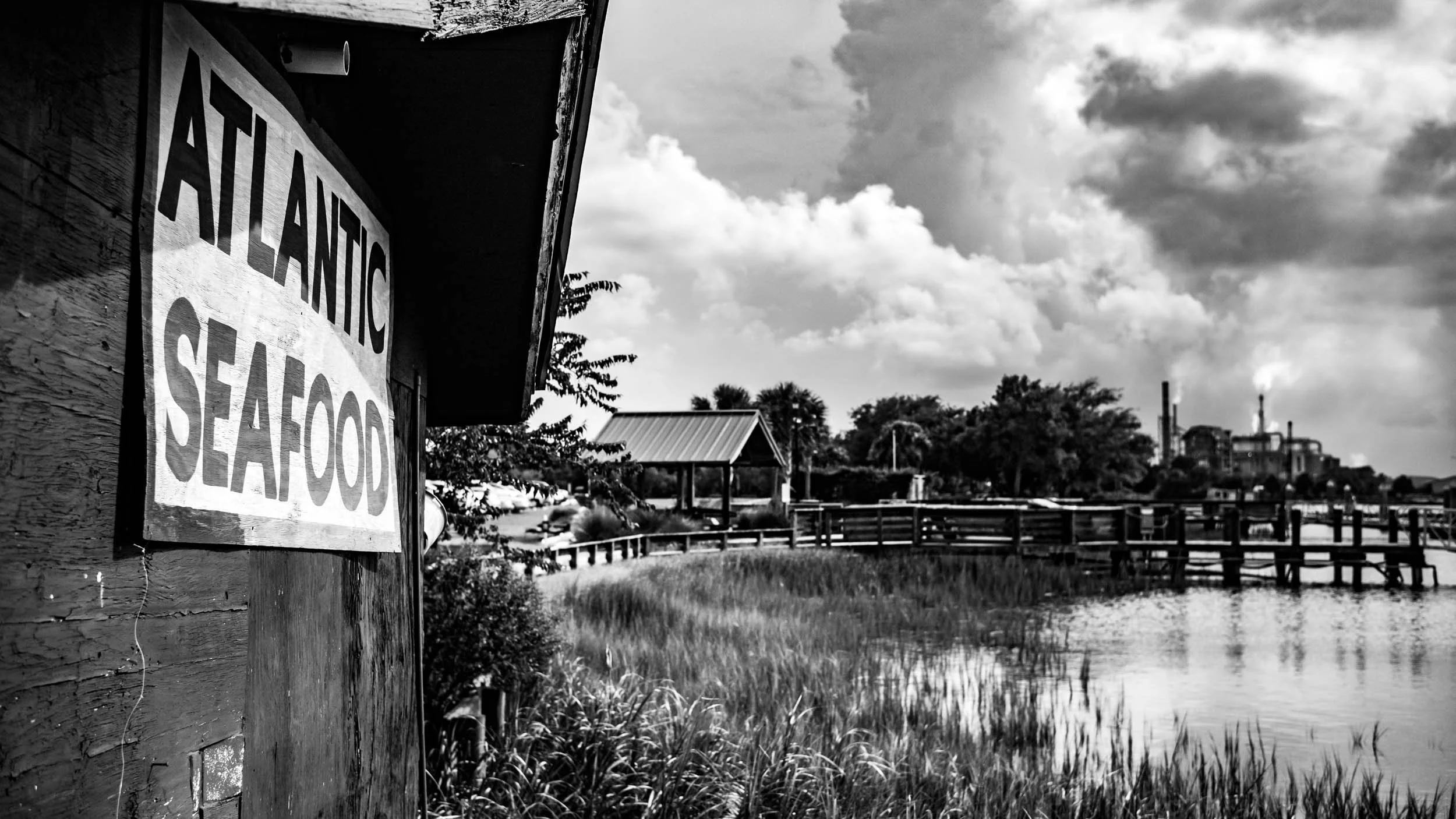 4722-1630-2276-150906-DouglasCoulter-150906-Doug Coulter-2.jpg