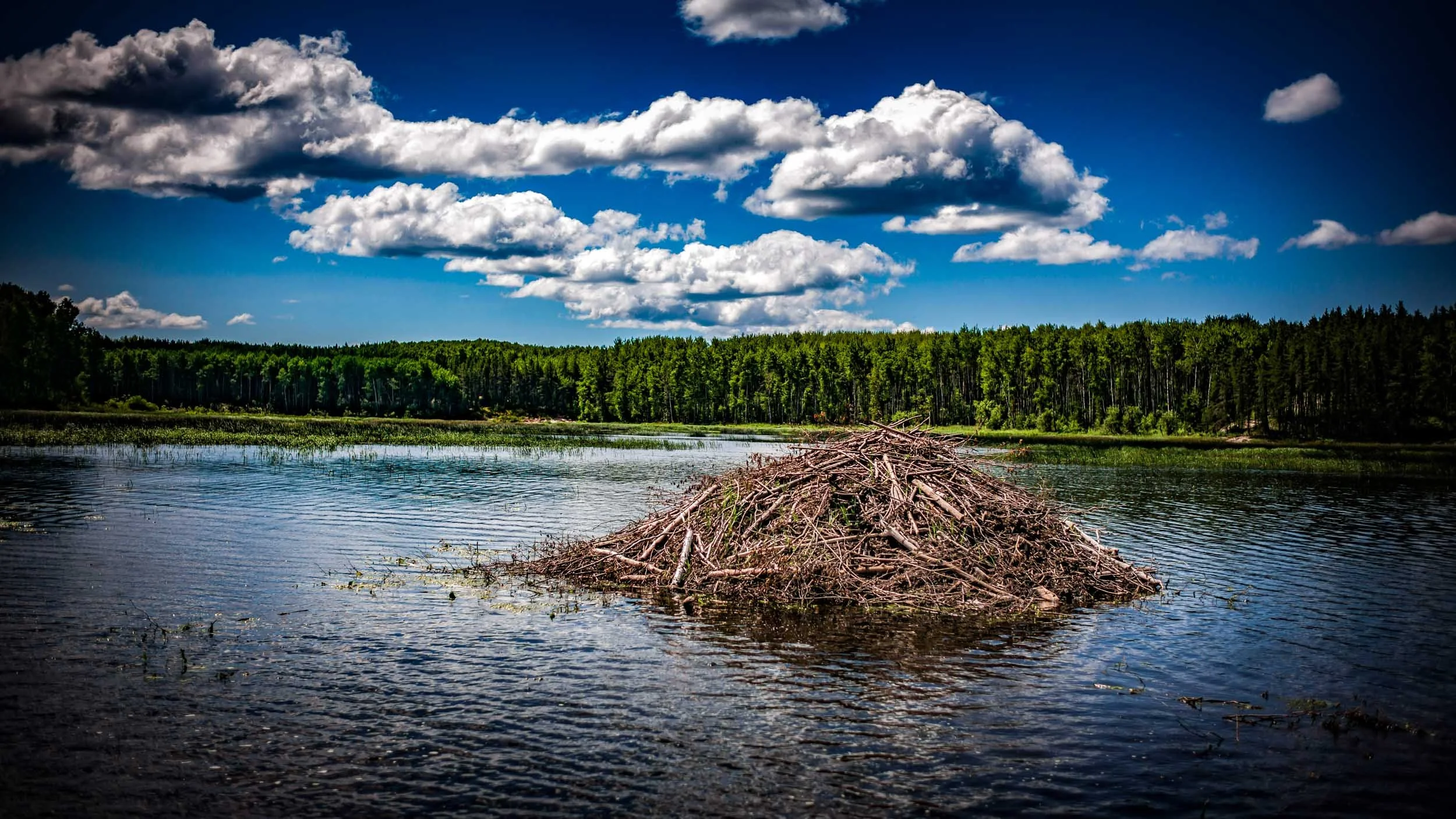 1733-2504-3099-L1009483-170707-Doug Coulter-2.jpg