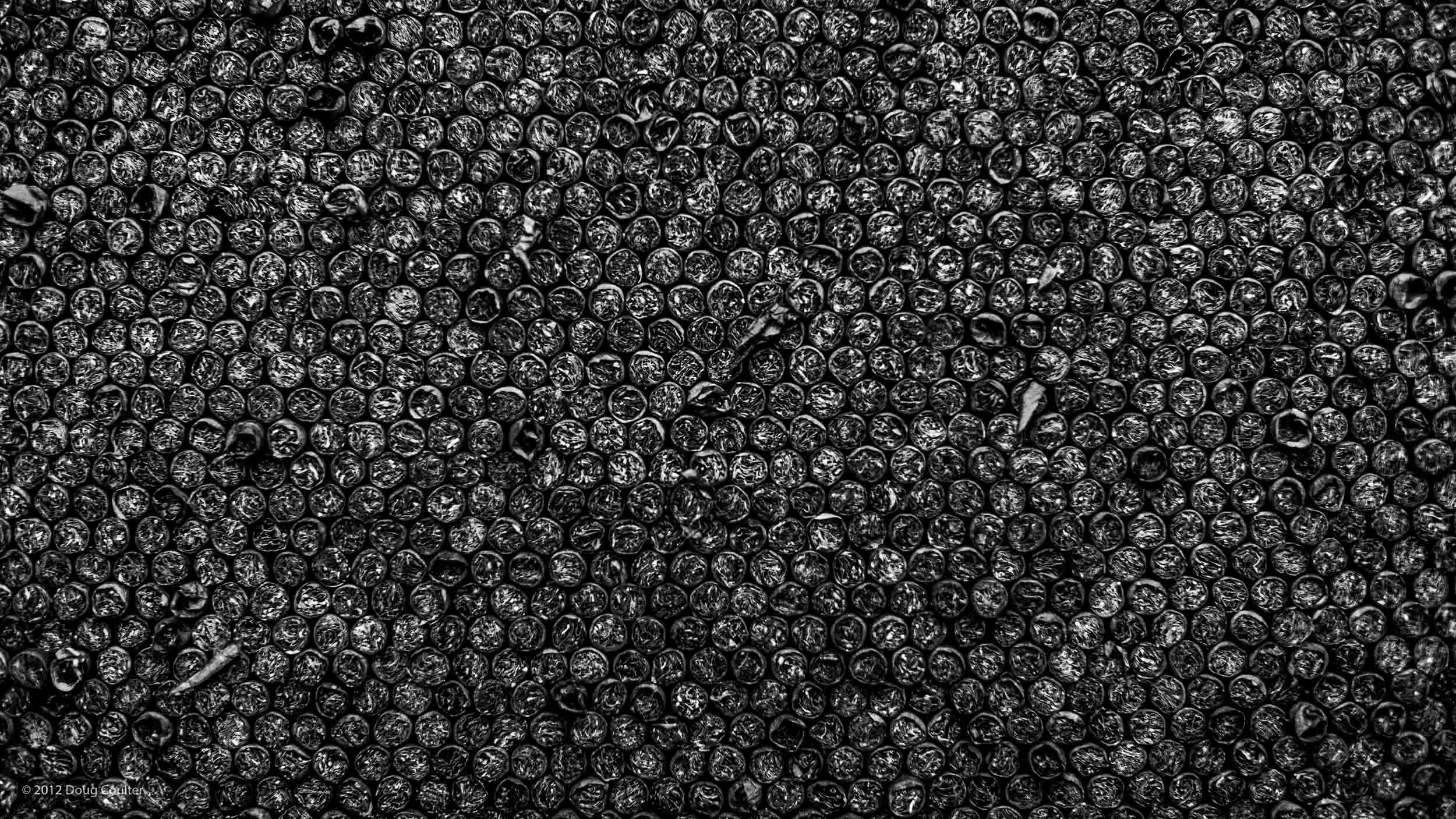 040-5712-0659-936-120220-DouglasCoulter-120220-Doug Coulter.jpg