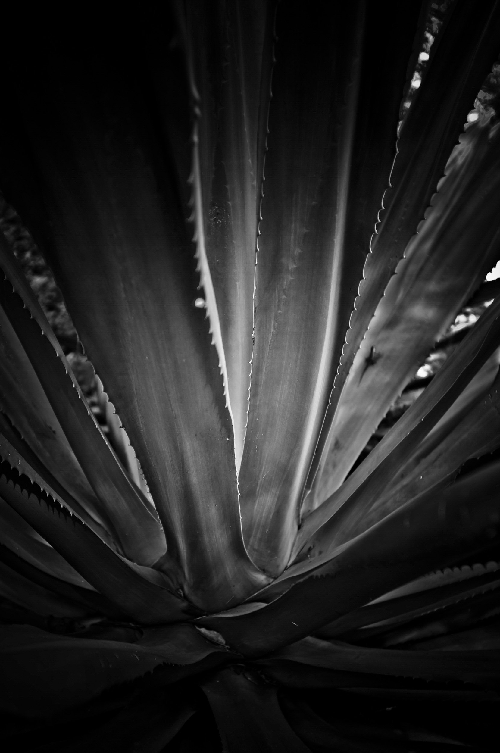 153-5521-2675-4140-180129-DouglasCoulter-180129-Doug Coulter-2.jpg