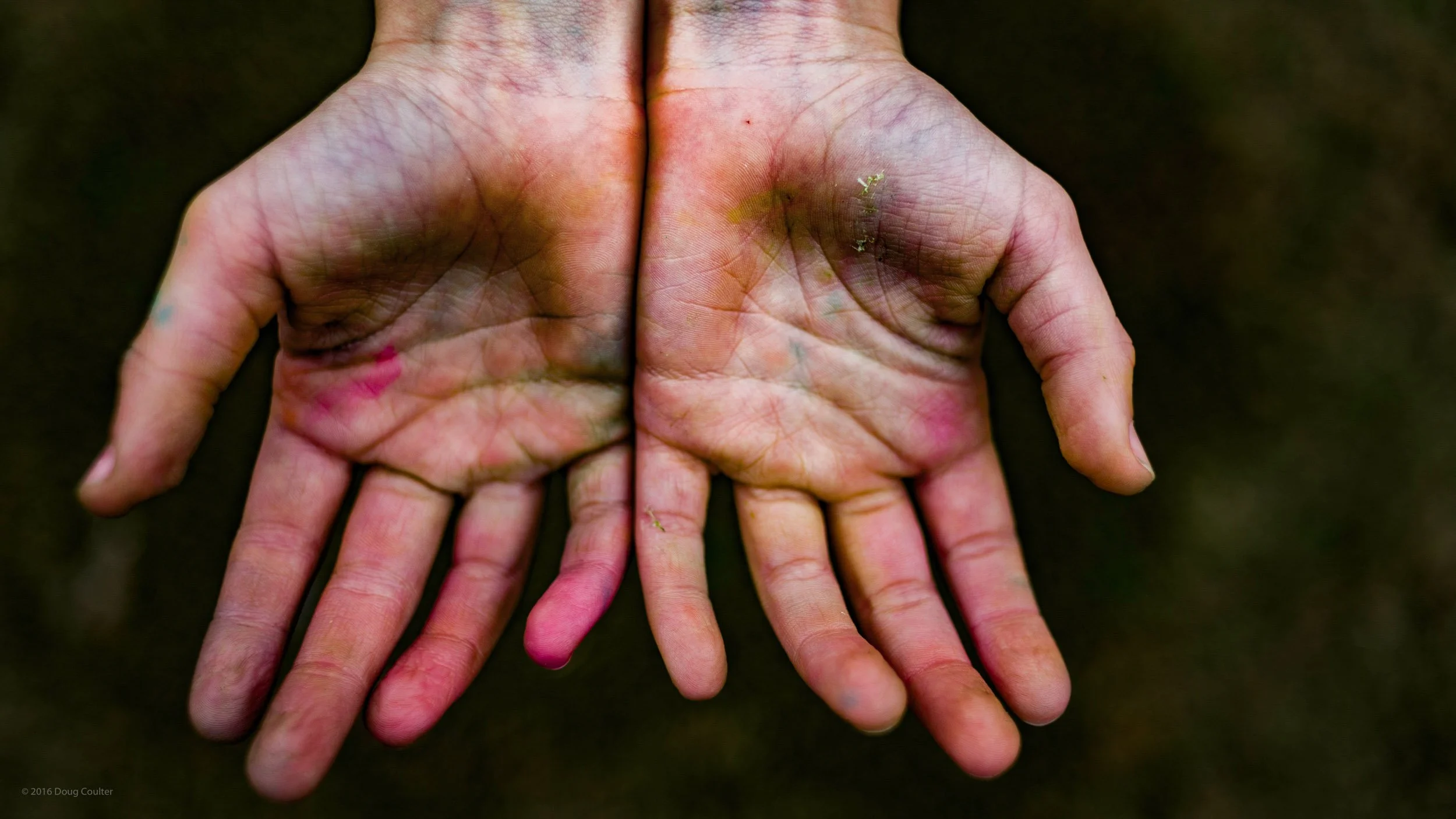 134-2983-1917-2469-_DCP7691-160326-Doug Coulter.jpg