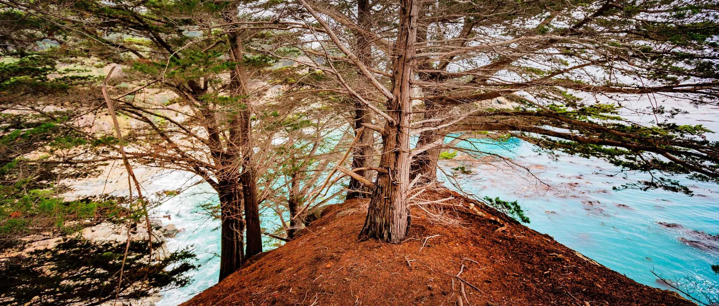 2430-0094-207-071109-DouglasCoulter-071109-Doug Coulter-2.jpg