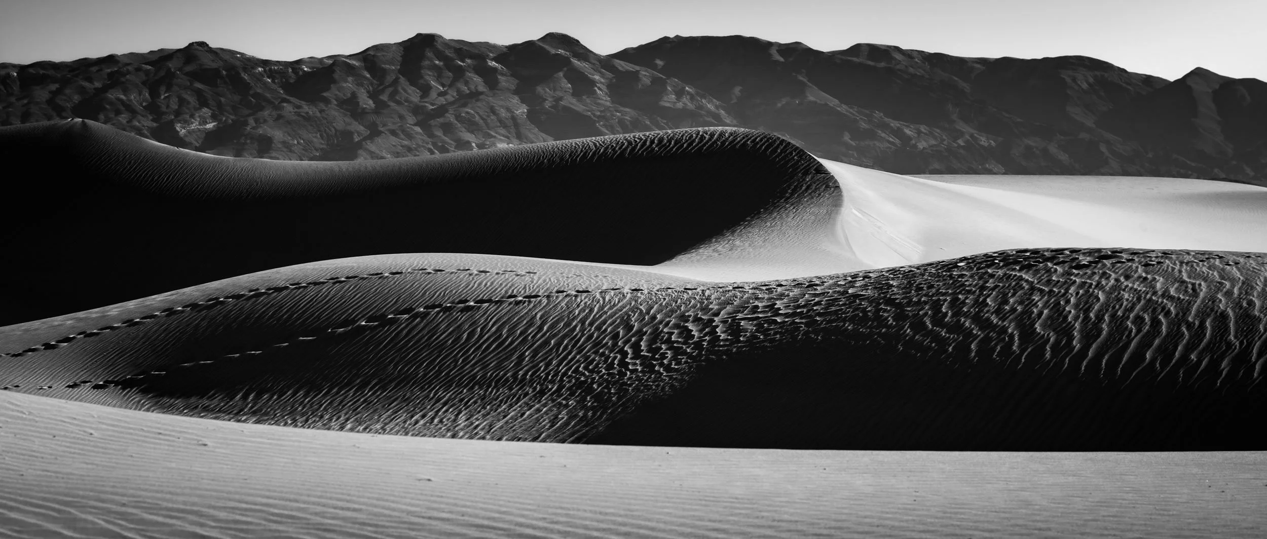 6058-0070-_4DK0662-071106-Doug Coulter-2-2.jpg