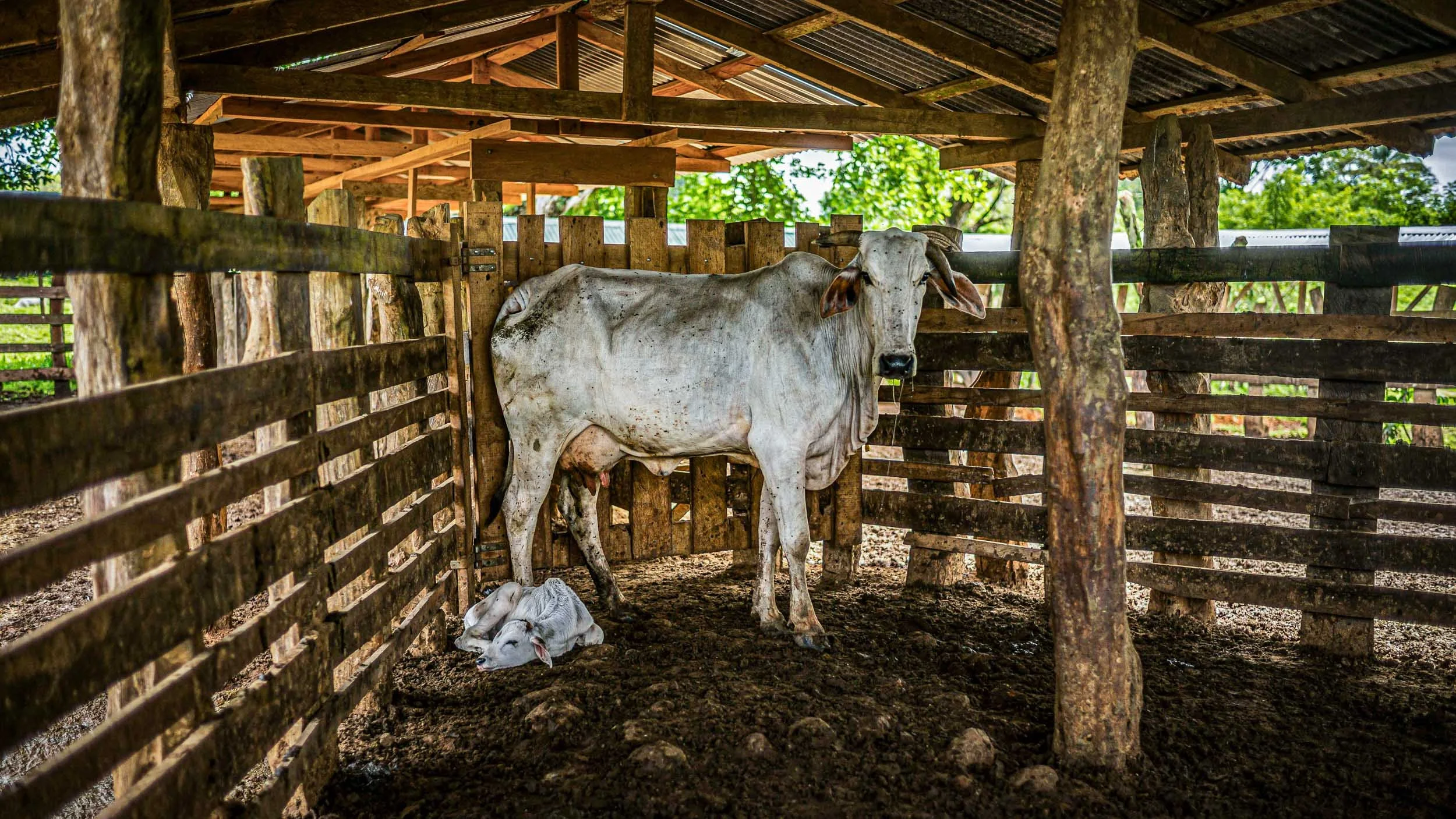 2029-1146-1604-LM245428-140607-Doug Coulter-2-2-2.jpg