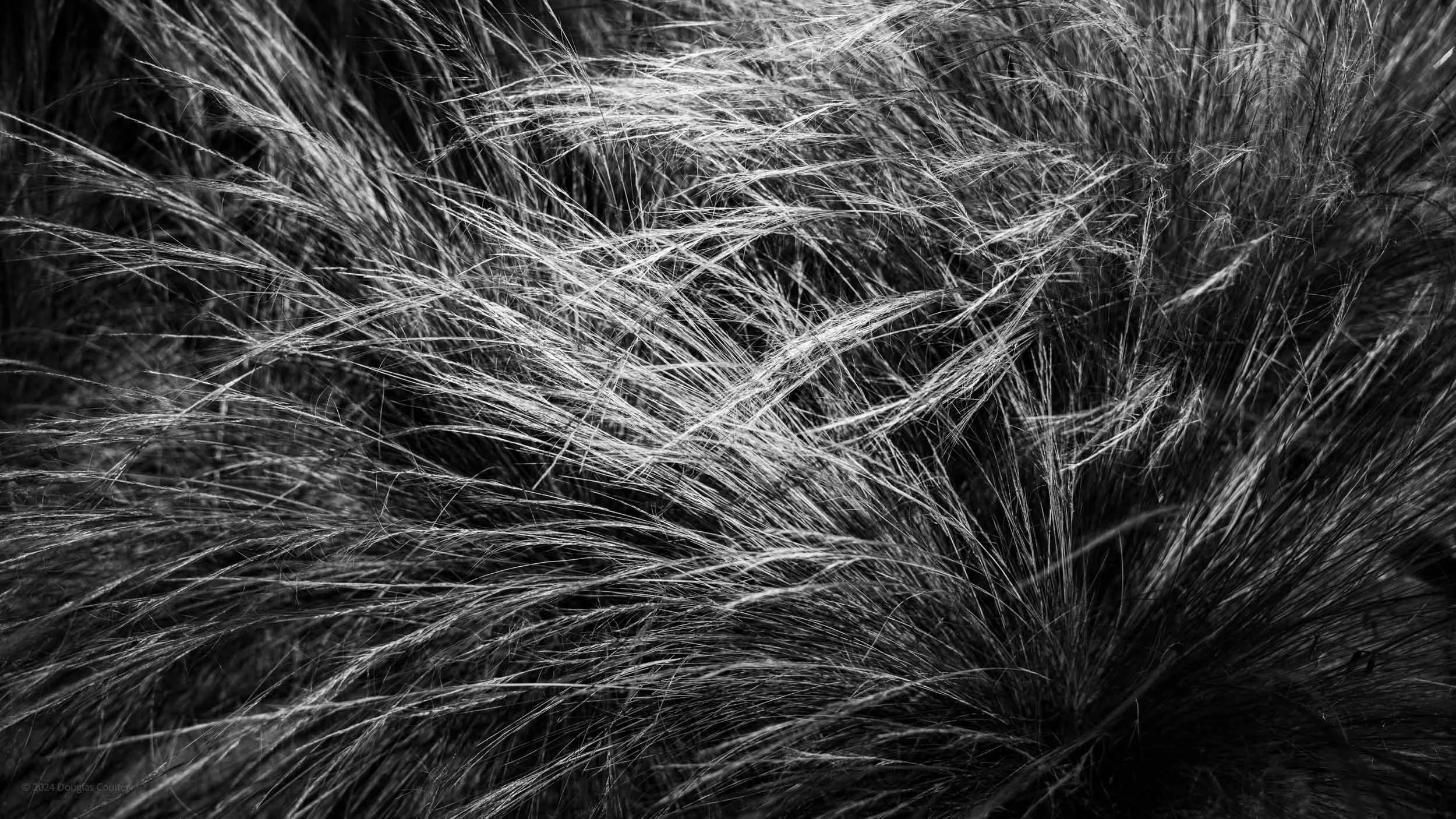 019-3578-6517-M10M2707-240514-Doug Coulter.jpg