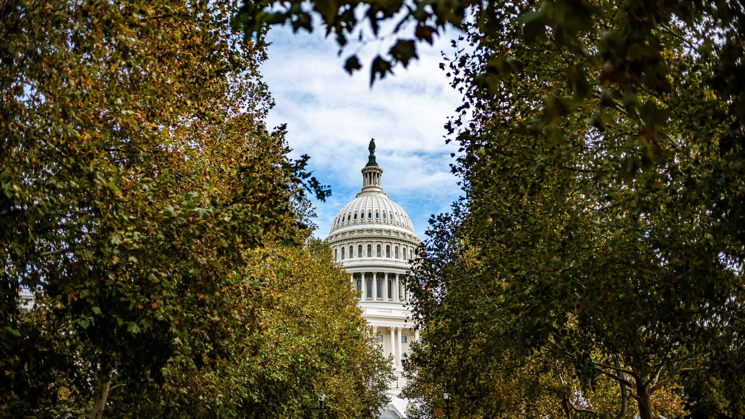 0718-7072-S3110807-251029-Doug Coulter-2-2.jpg