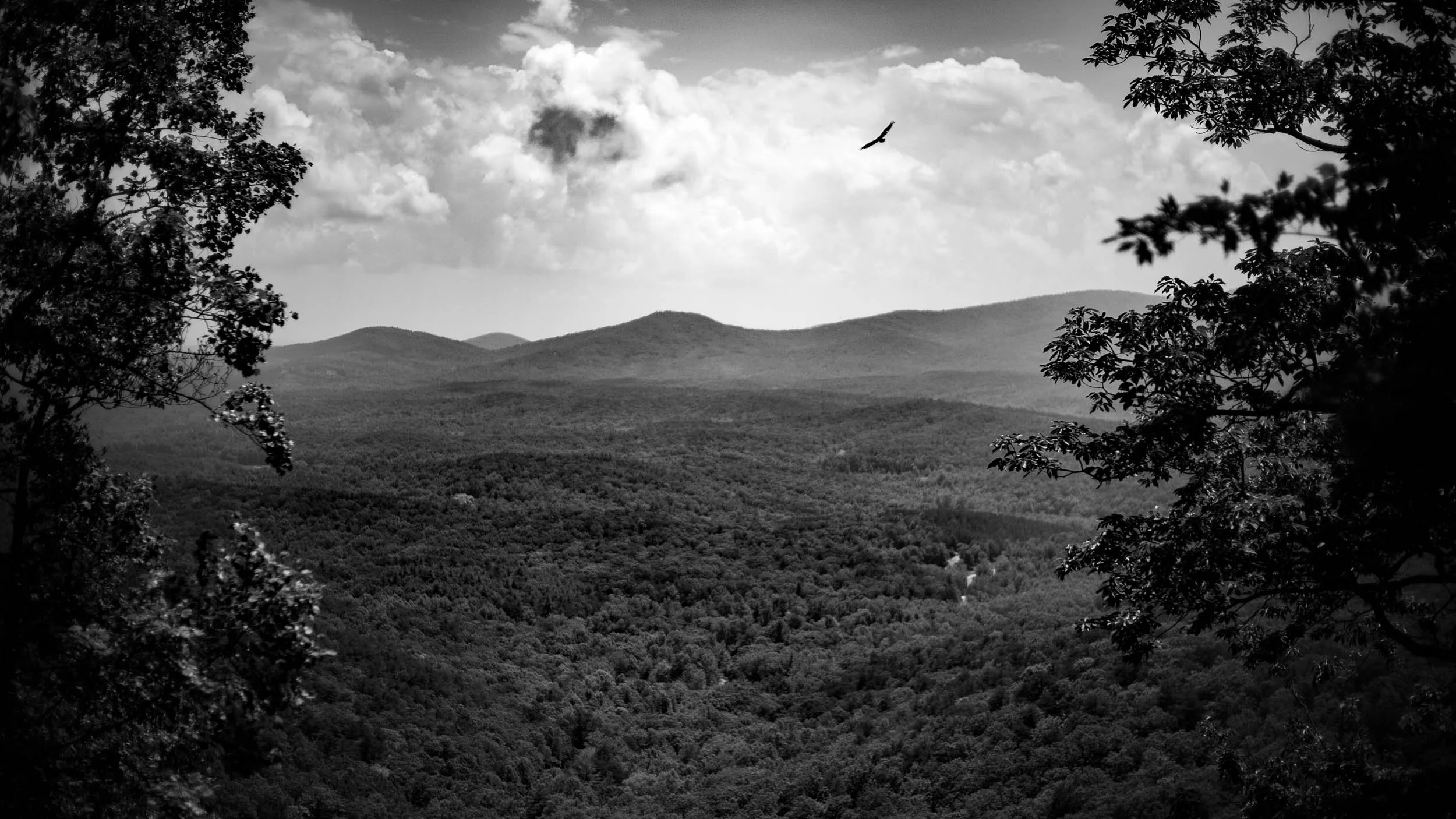 3756-3308-4537-180519-DouglasCoulter-180519-Doug Coulter-2-2.jpg