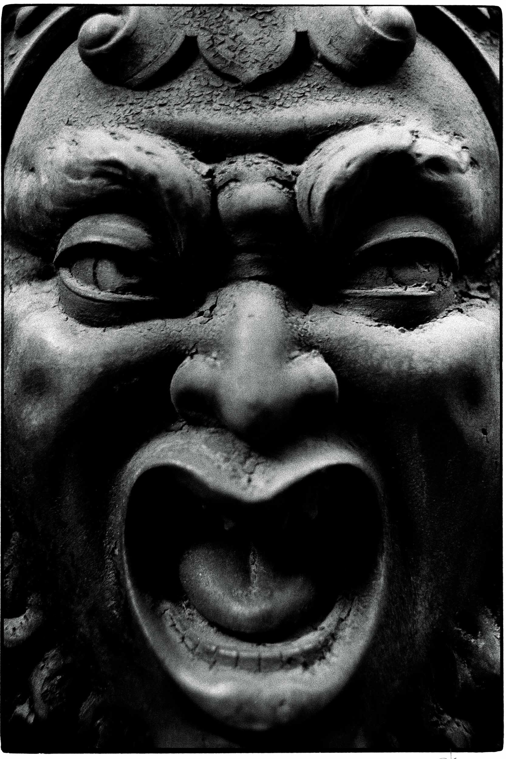 040-089-150-0408-2883-351-кусочек жизни-310-180129-Doug Coulter-2-2.jpg