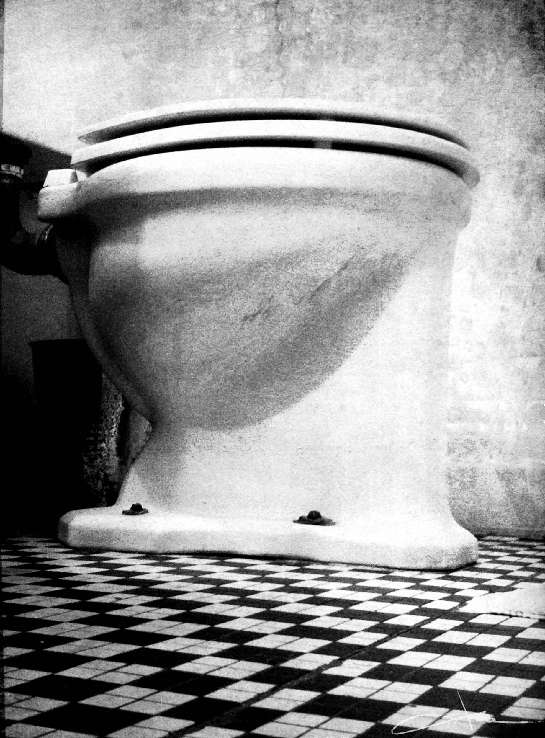 166-5892-2955-376-iObs #36-180129-Doug Coulter-2.jpg