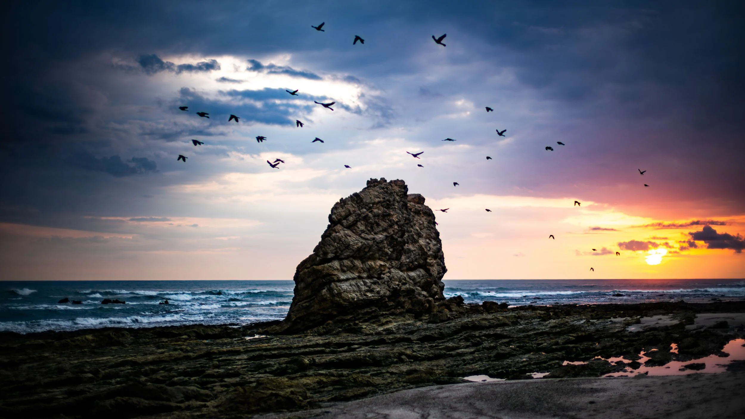 3579-1183-LM245672-140608-Doug Coulter-2.jpg