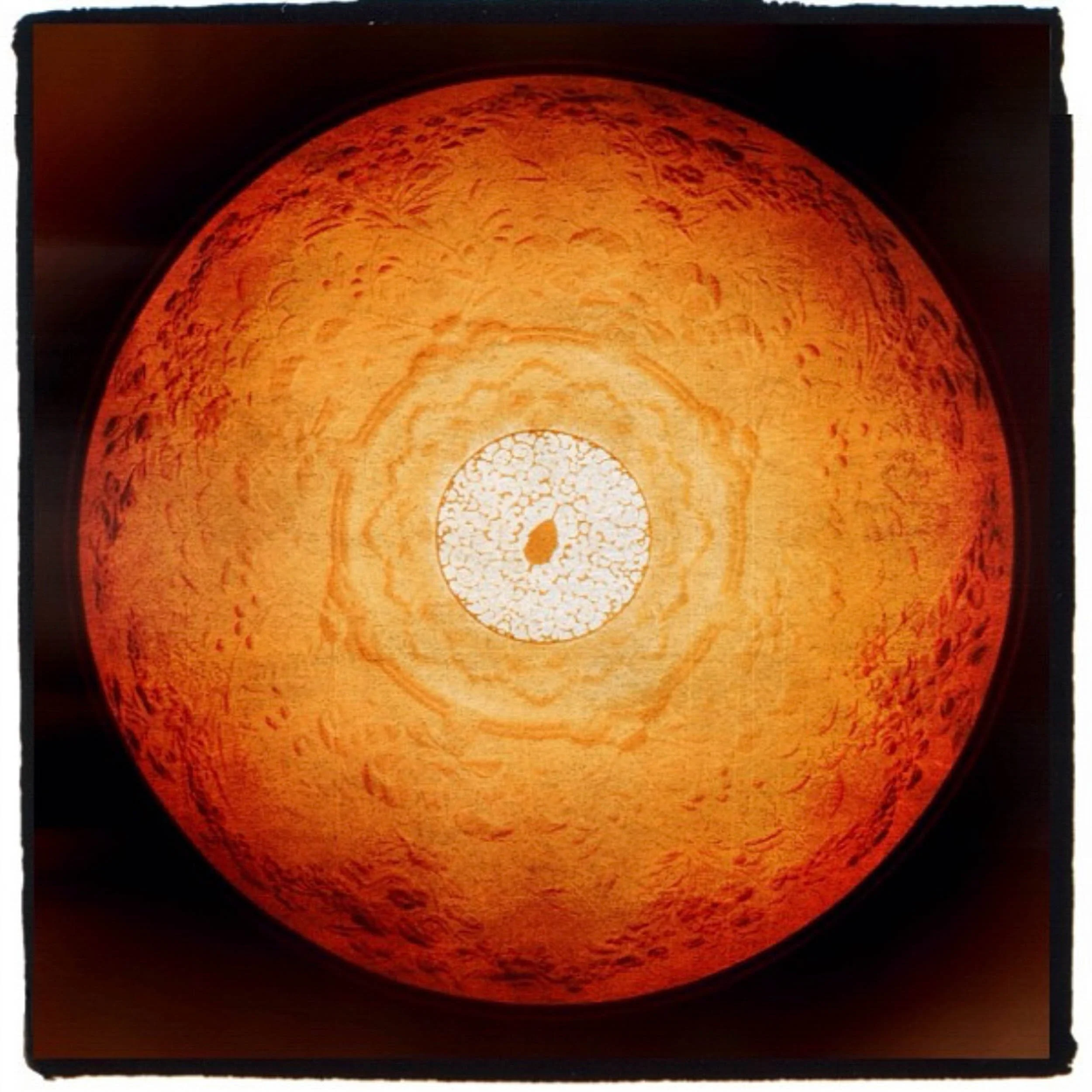 6383-3646-IMG_4824-181223-Doug Coulter-2.jpg