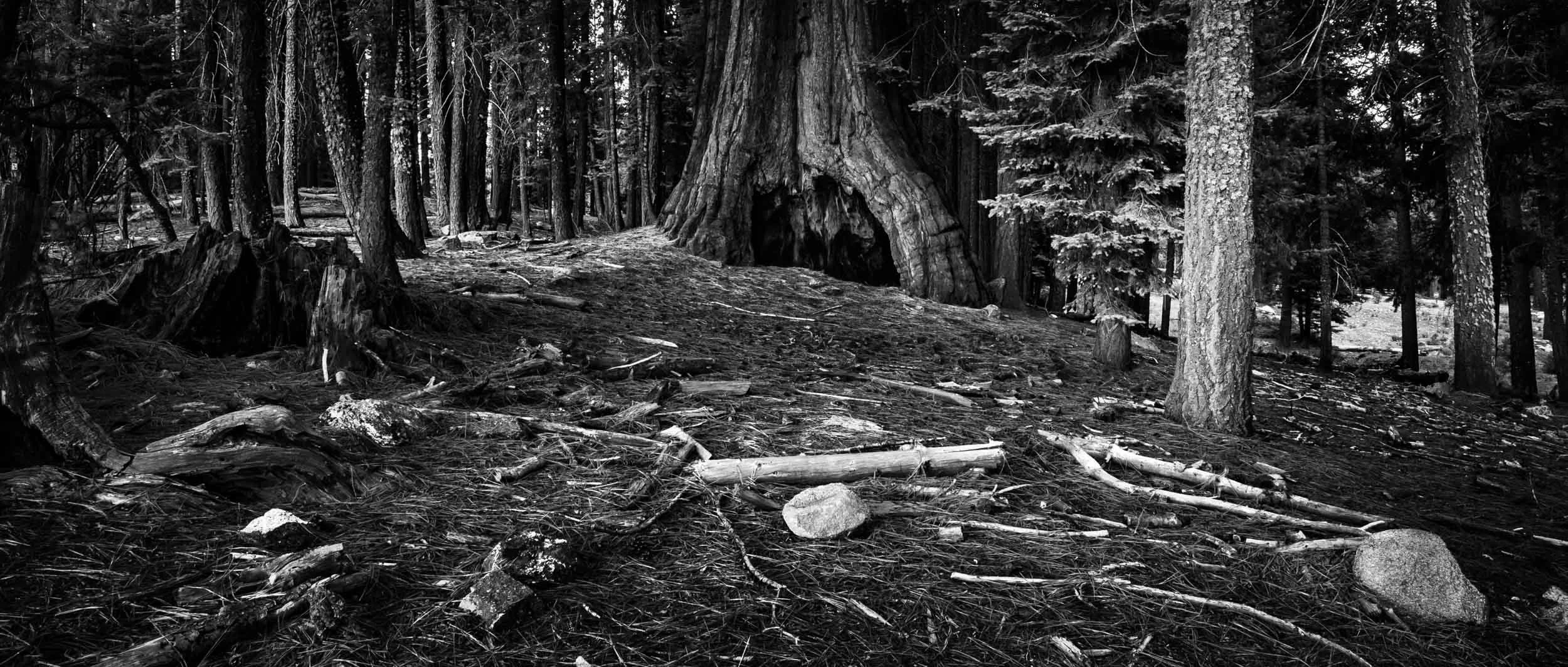 4621-0089-189-071107-DouglasCoulter-071107-Doug Coulter-2.jpg