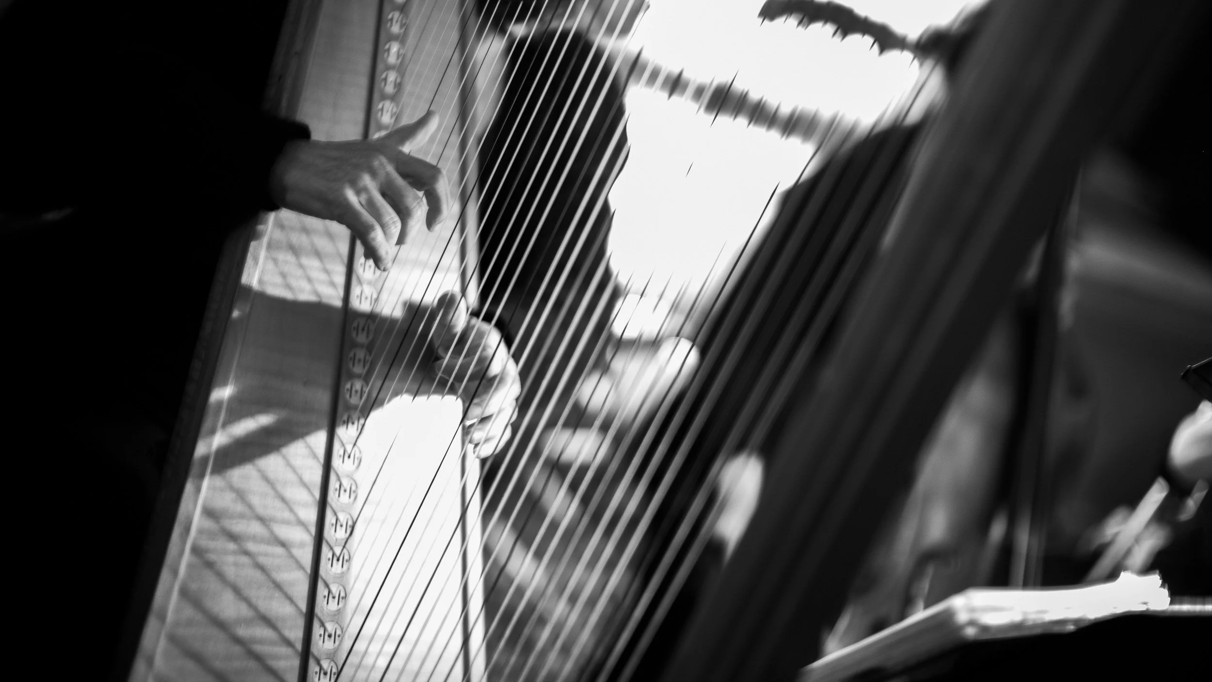 64-5142-1287-1782-141119-DouglasCoulter-141119-Doug Coulter-2-2-2.jpg