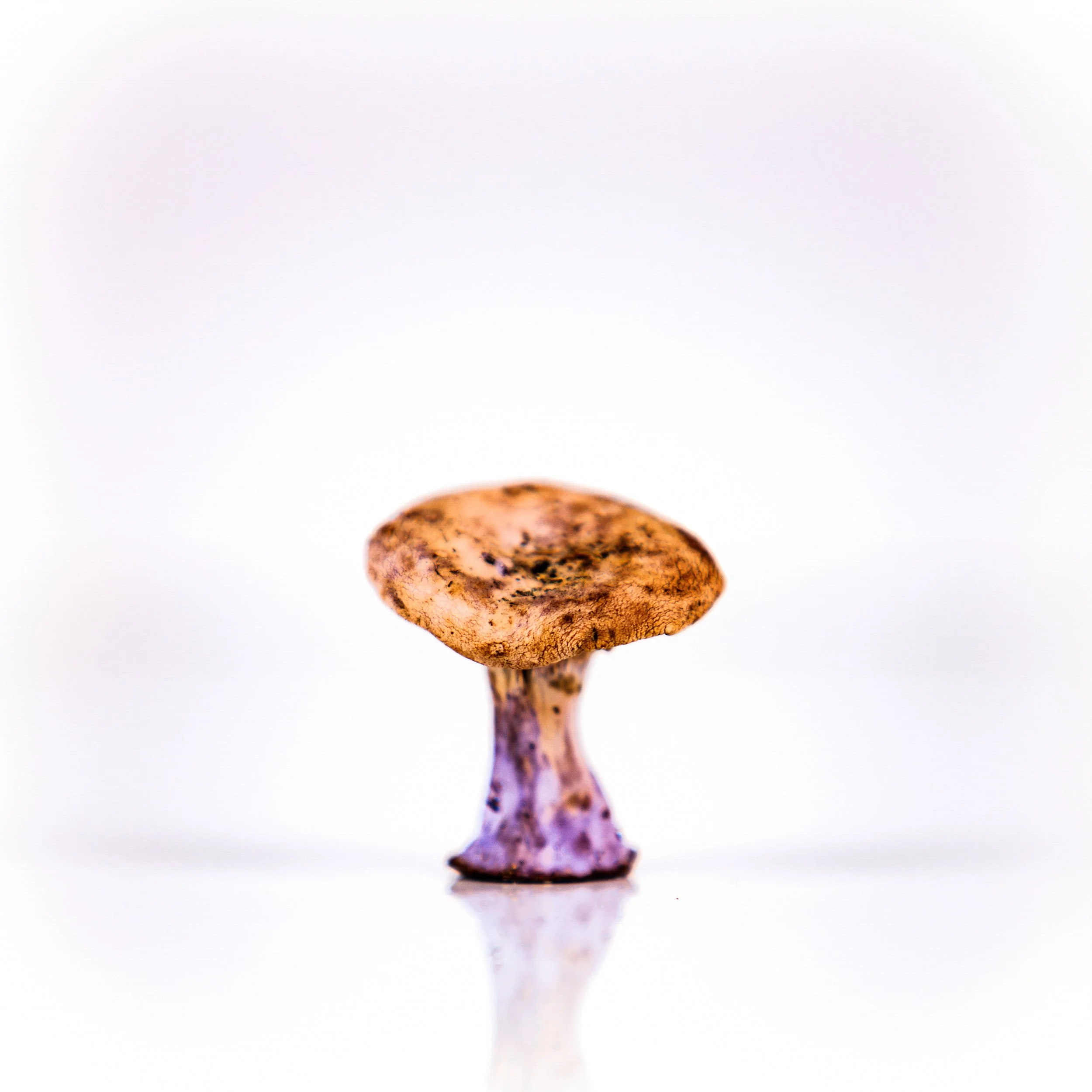 181-394-354-0428-0257-412-100510-DouglasCoulter-100510-Doug Coulter-2-2.jpg