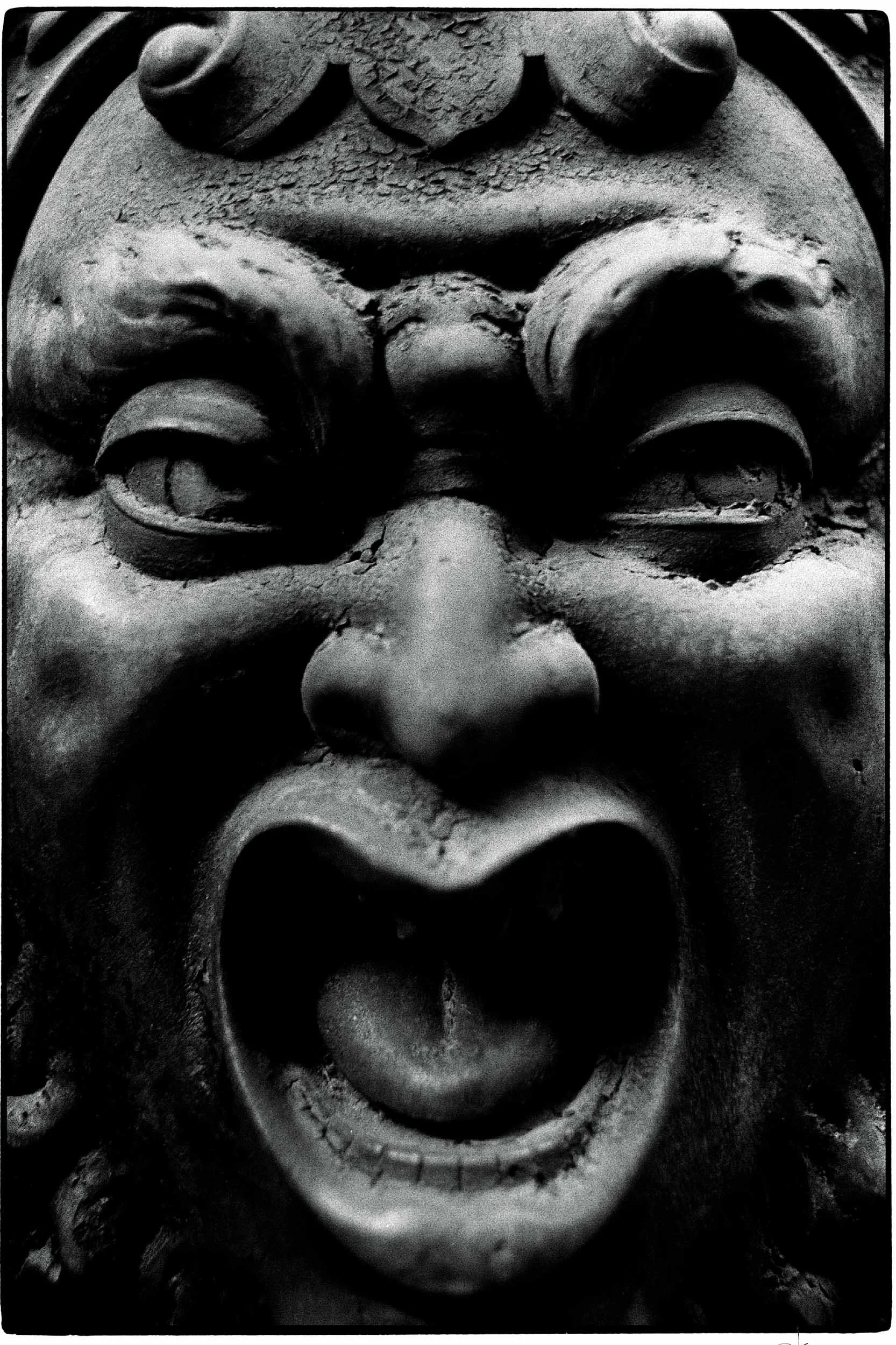 0408-2883-351-кусочек жизни-310-180129-Doug Coulter-2-2.jpg