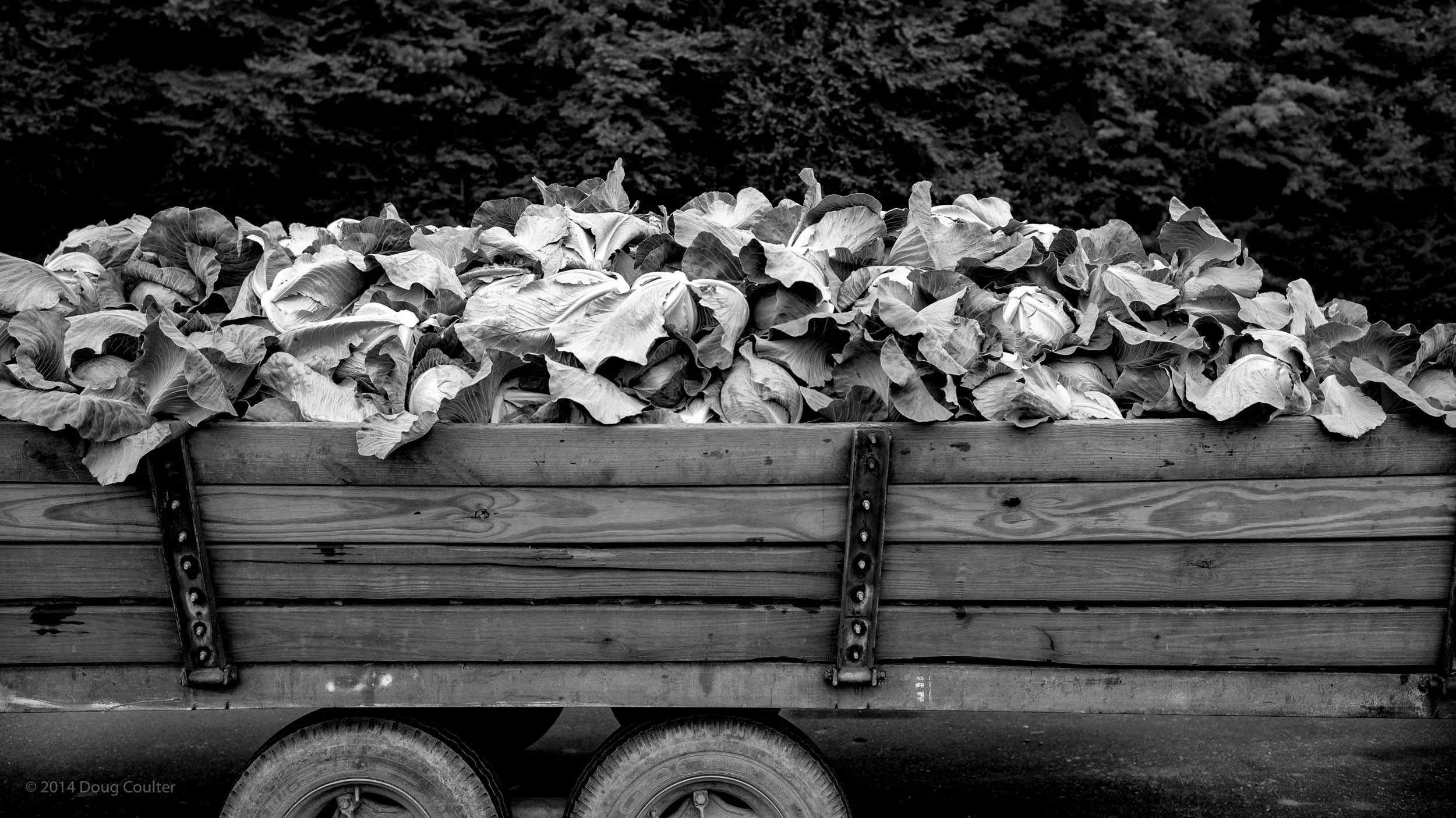 165-6361-1200-1660-L1014065-140727-Doug Coulter.jpg