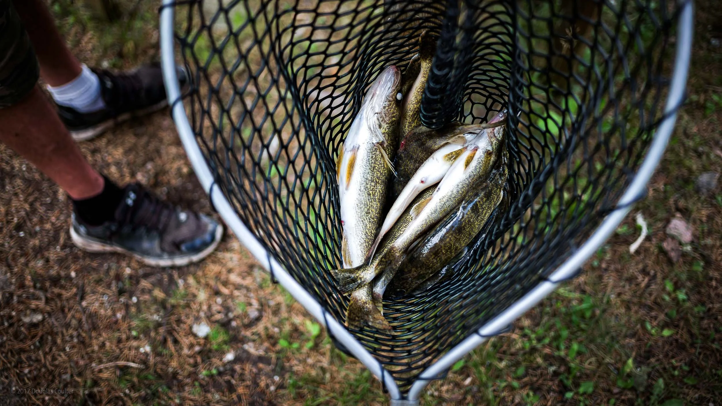 109-4191-2506-3101-L1009574-170707-Doug Coulter-2.jpg