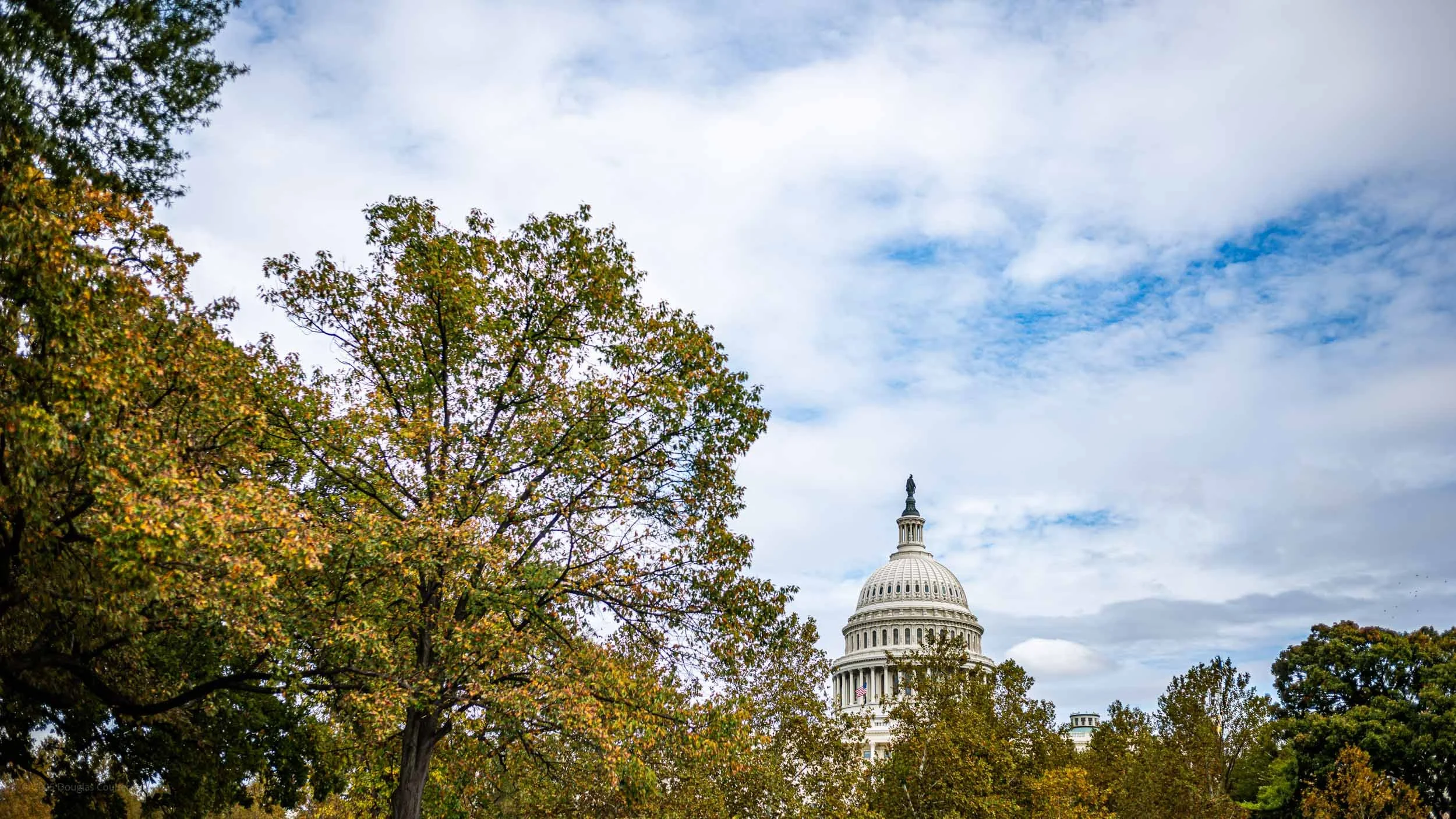 2636-7067-S3110776-251029-Doug Coulter-2.jpg