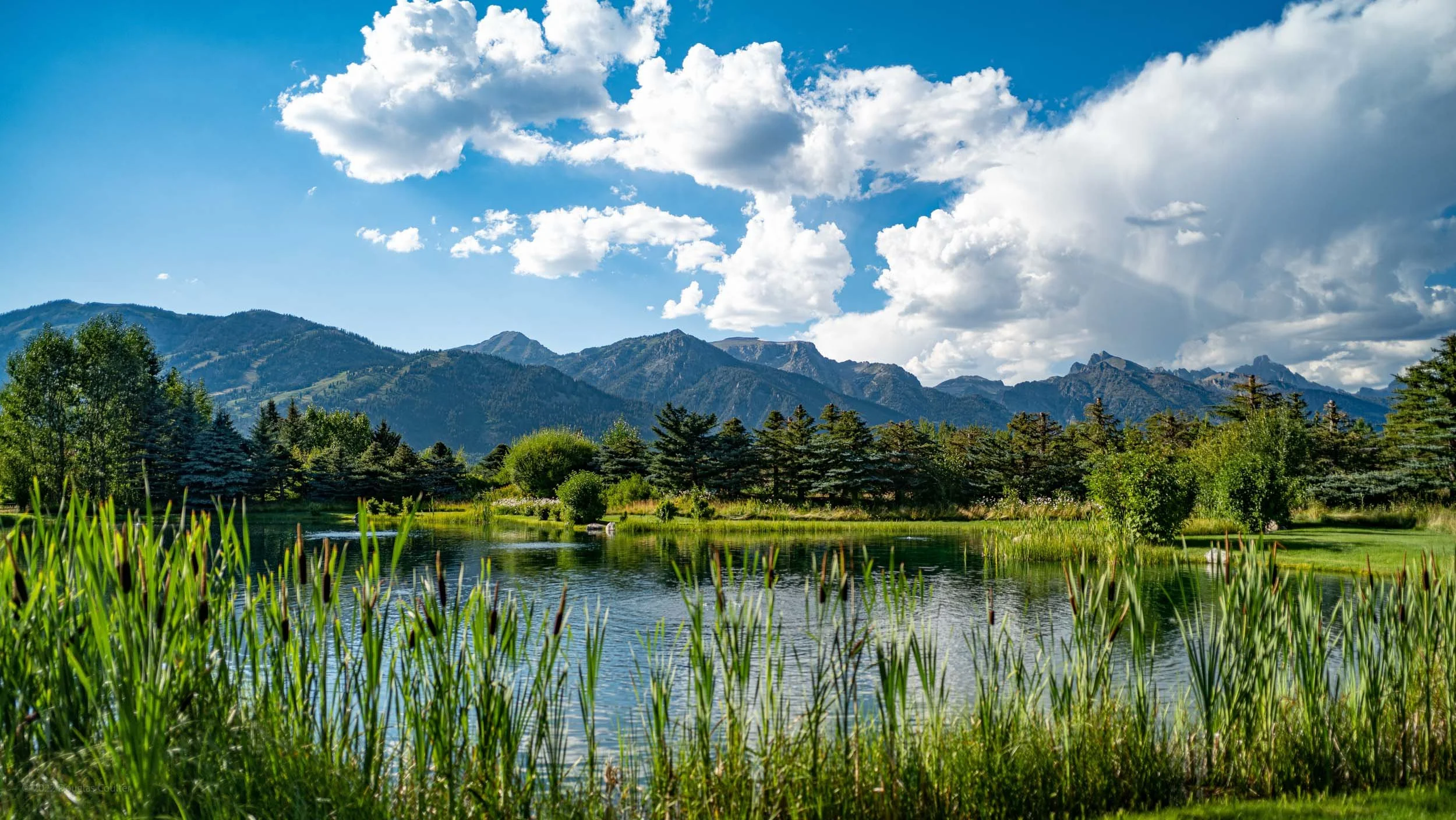 2020-5481-S1020428-220816-Doug Coulter-2.jpg