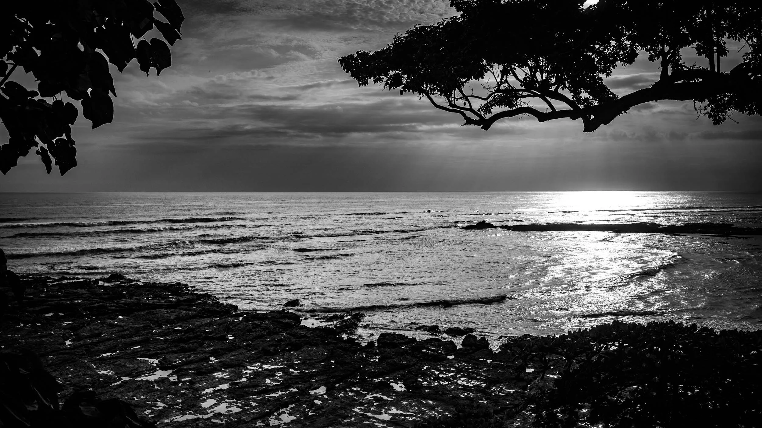 5025-1167-1571-140607-DouglasCoulter-140607-Doug Coulter-2.jpg