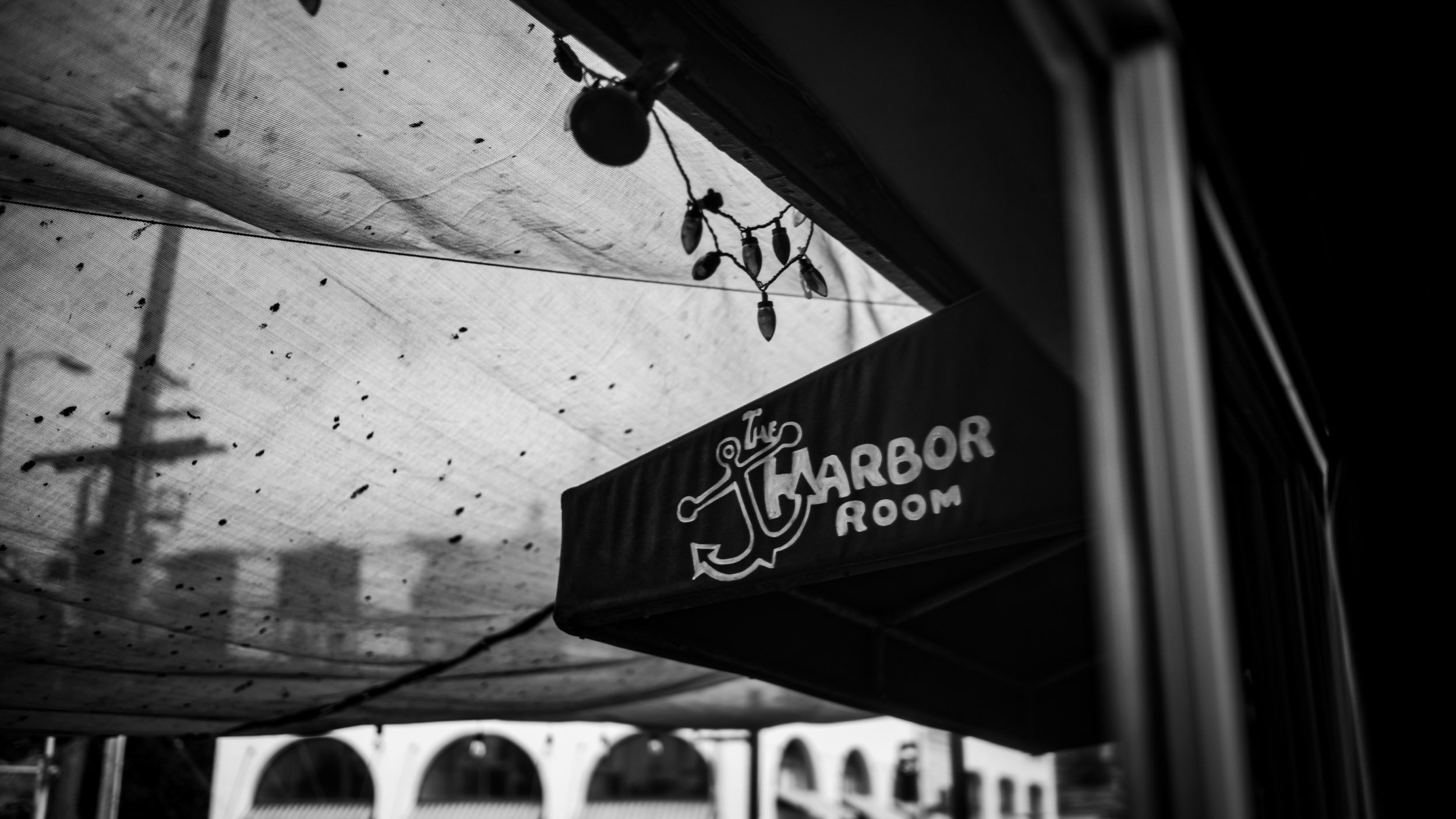 143-2608-6534-M10M2982-240514-Doug Coulter.jpg