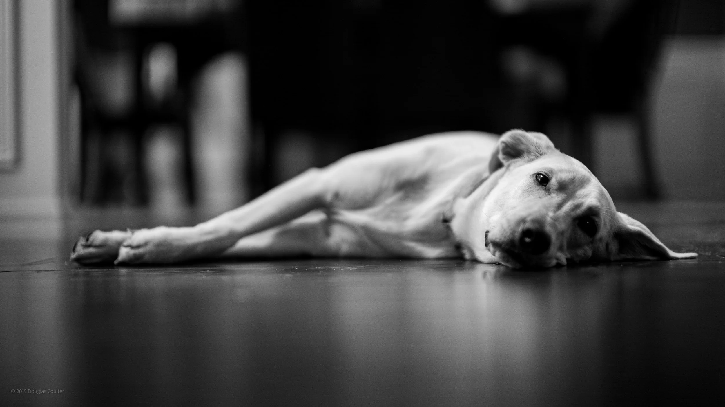 146-4717-1627-L1030308-150902-Doug Coulter.jpg