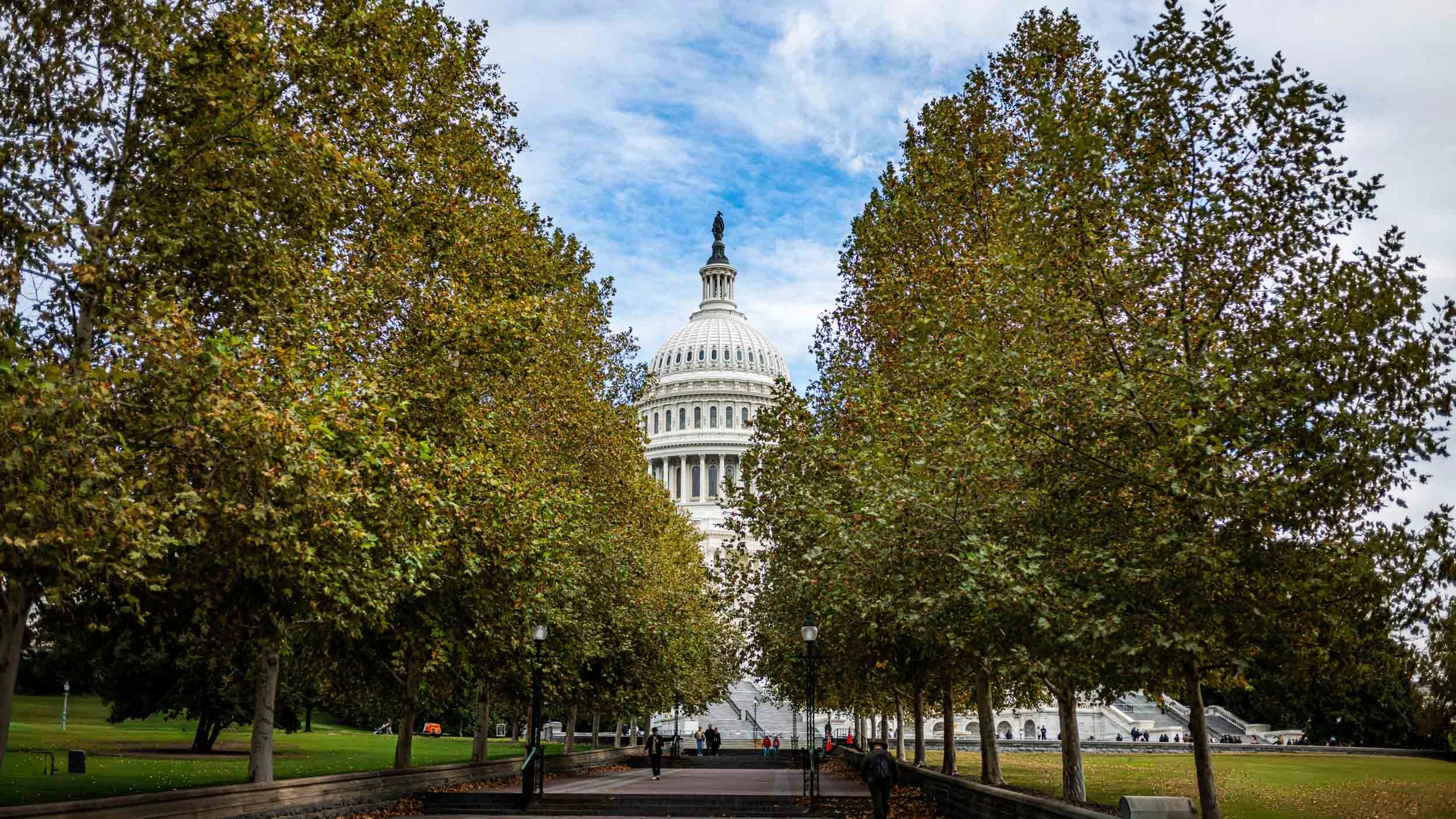 4181-7069-S3110788-251029-Doug Coulter-2-2.jpg