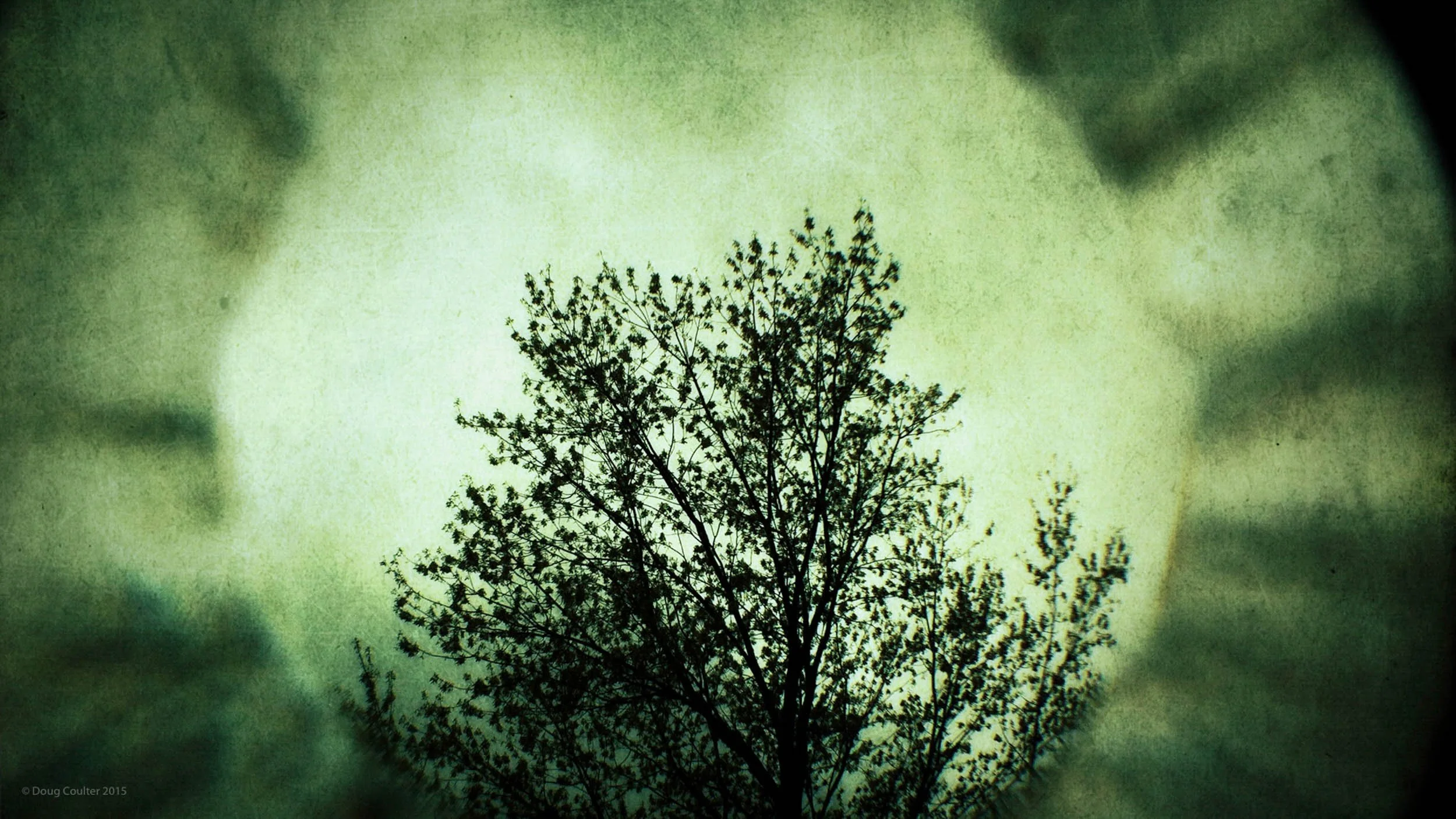 111-4895-3160-3849-180129-DouglasCoulter-180129-Doug Coulter.jpg