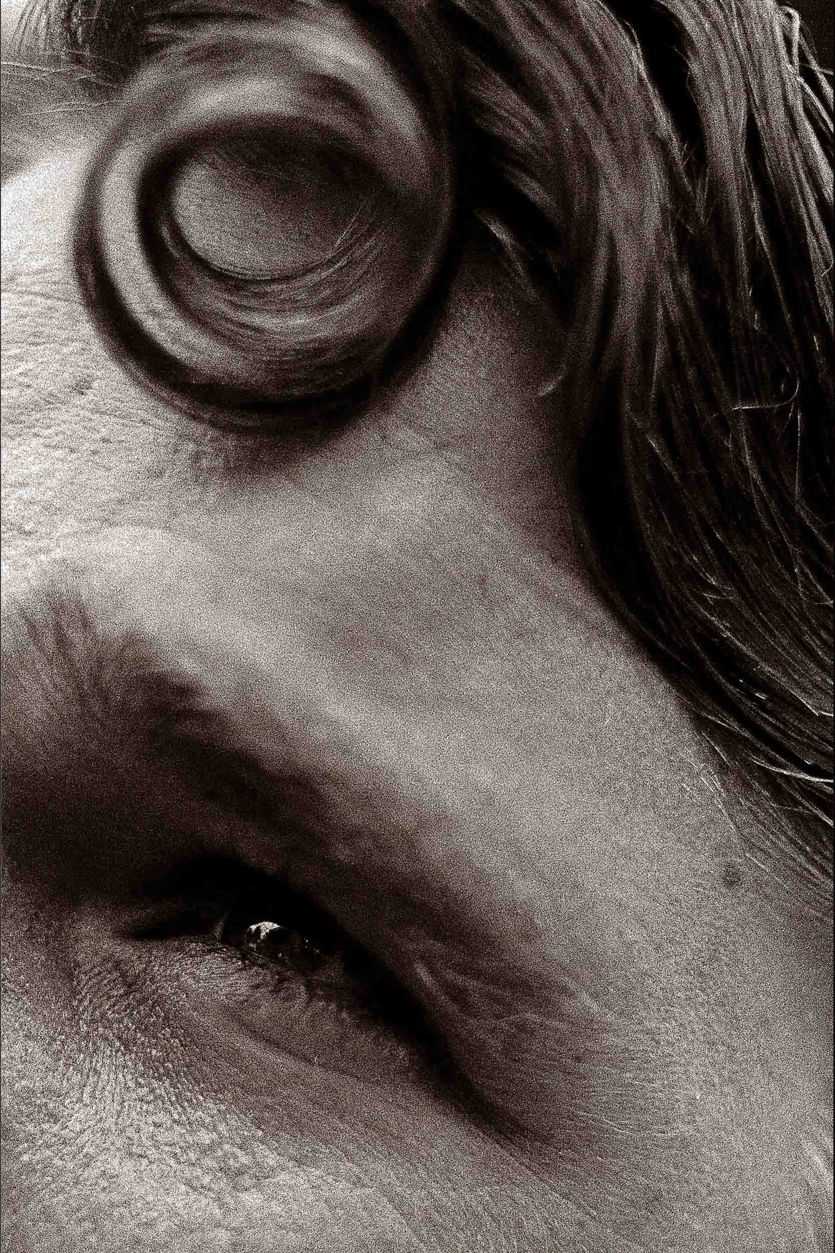 97-3542-2681-3646-180129-DouglasCoulter-180129-Doug Coulter.jpg