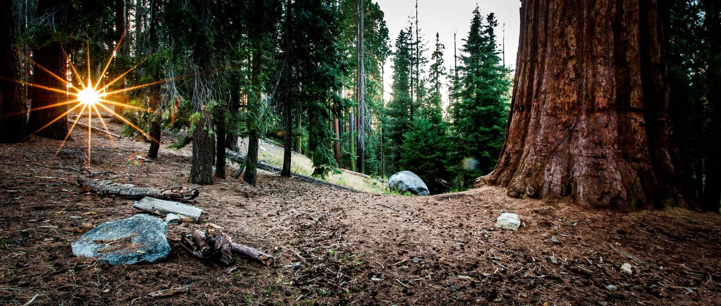 6801-0086-168-_4DK1524-2-071107-Doug Coulter-2.jpg