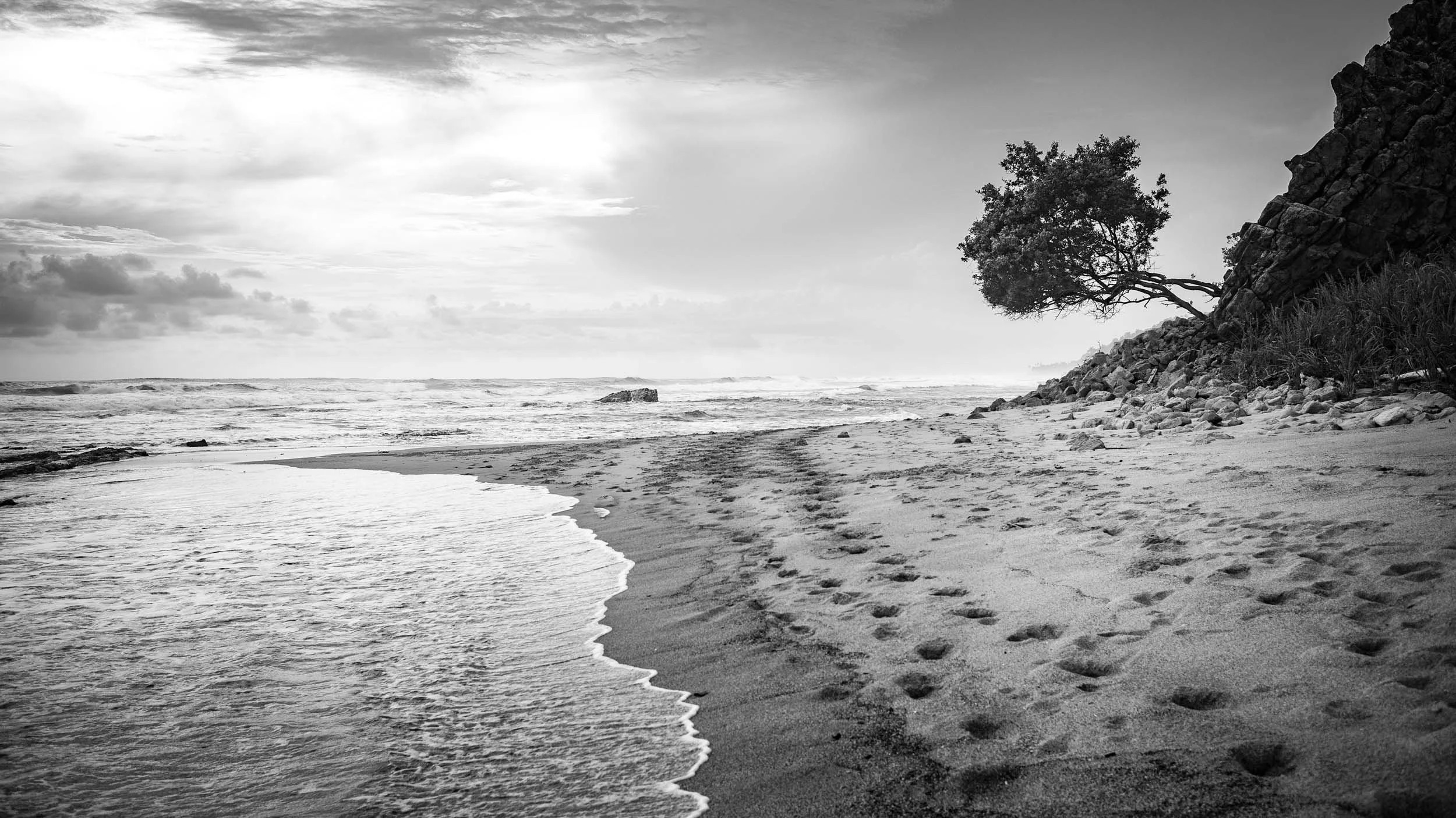 0335-1133-1590-L1012644-140603-Doug Coulter-2.jpg