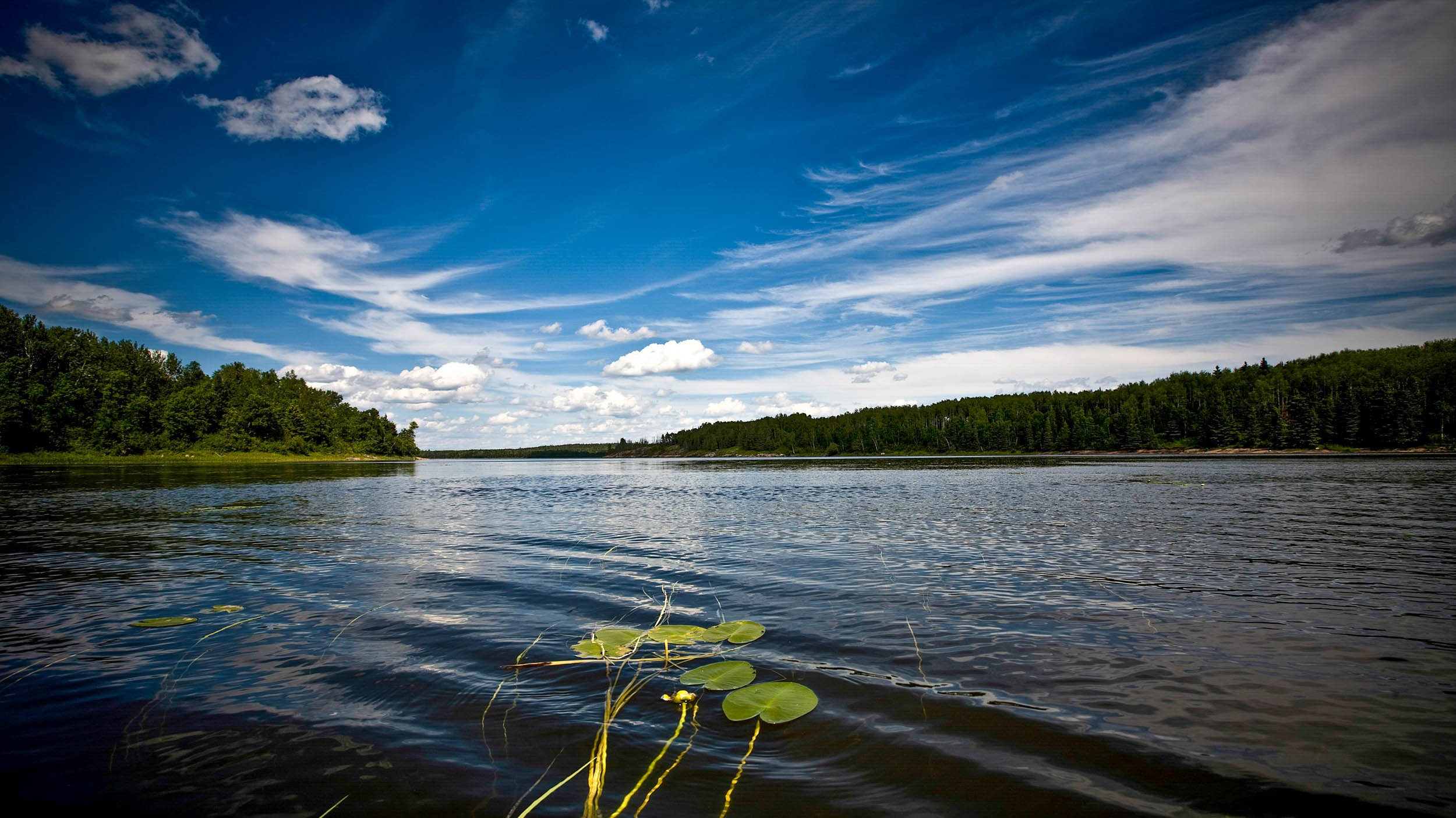 042-166-489-1158-2756-3885-180129-DouglasCoulter-180129-Doug Coulter-2-2-2.jpg