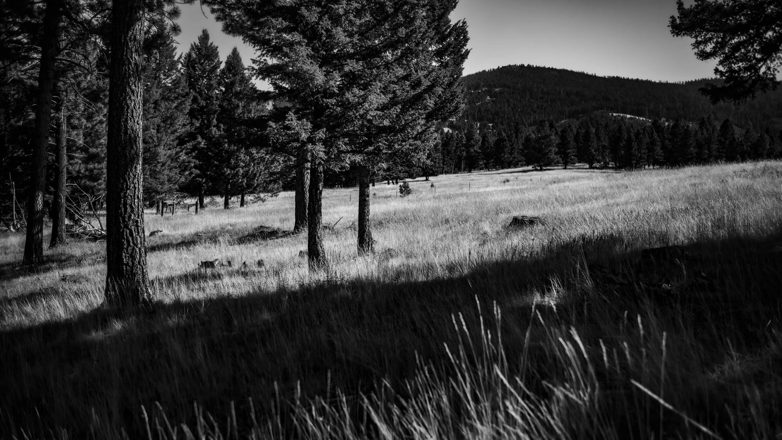 078-591-452-5524-6609-M10M3838-240921-Doug Coulter-2-2.jpg