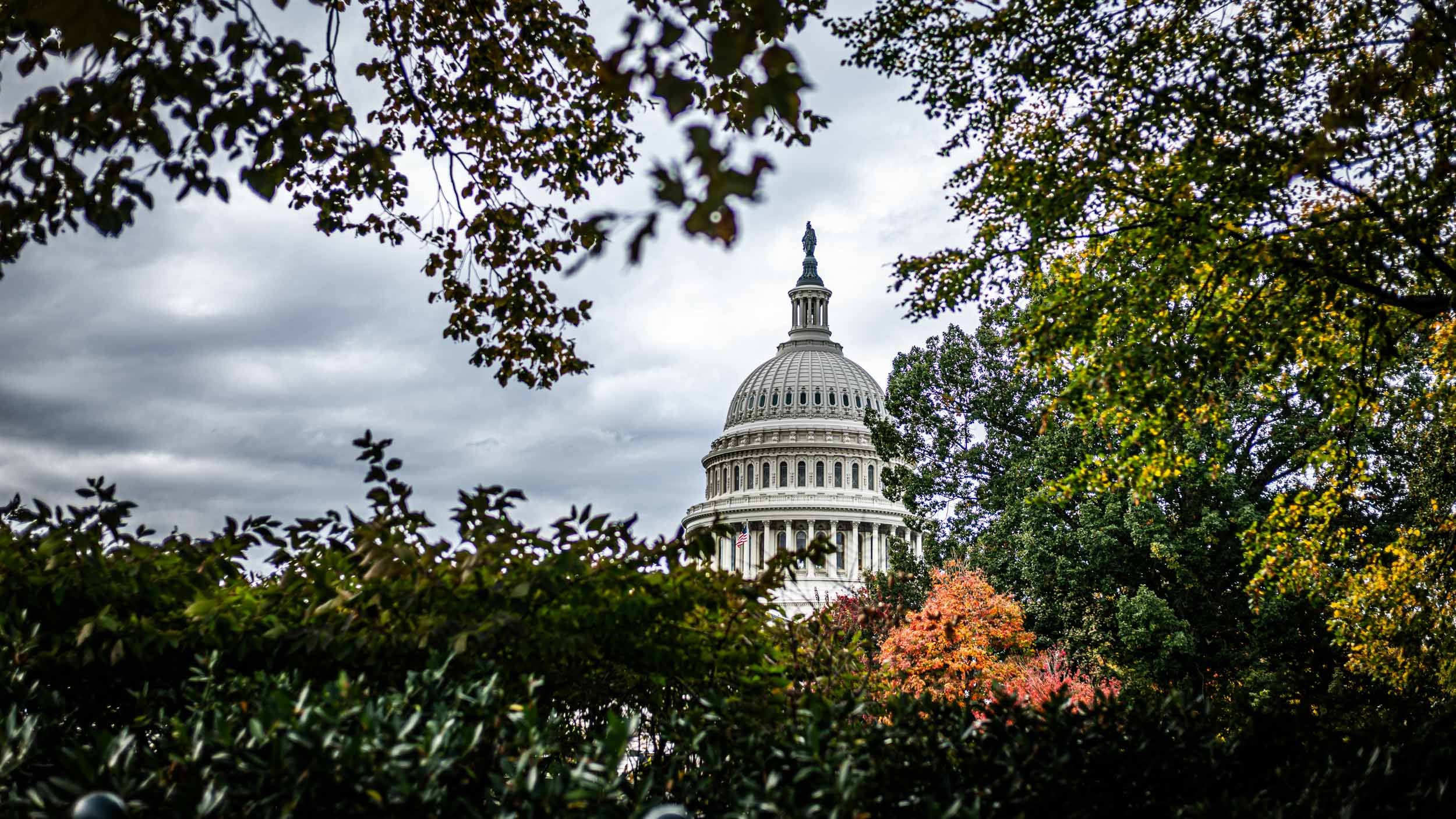 6717-7088-S3110921-251029-Doug Coulter-2-2.jpg